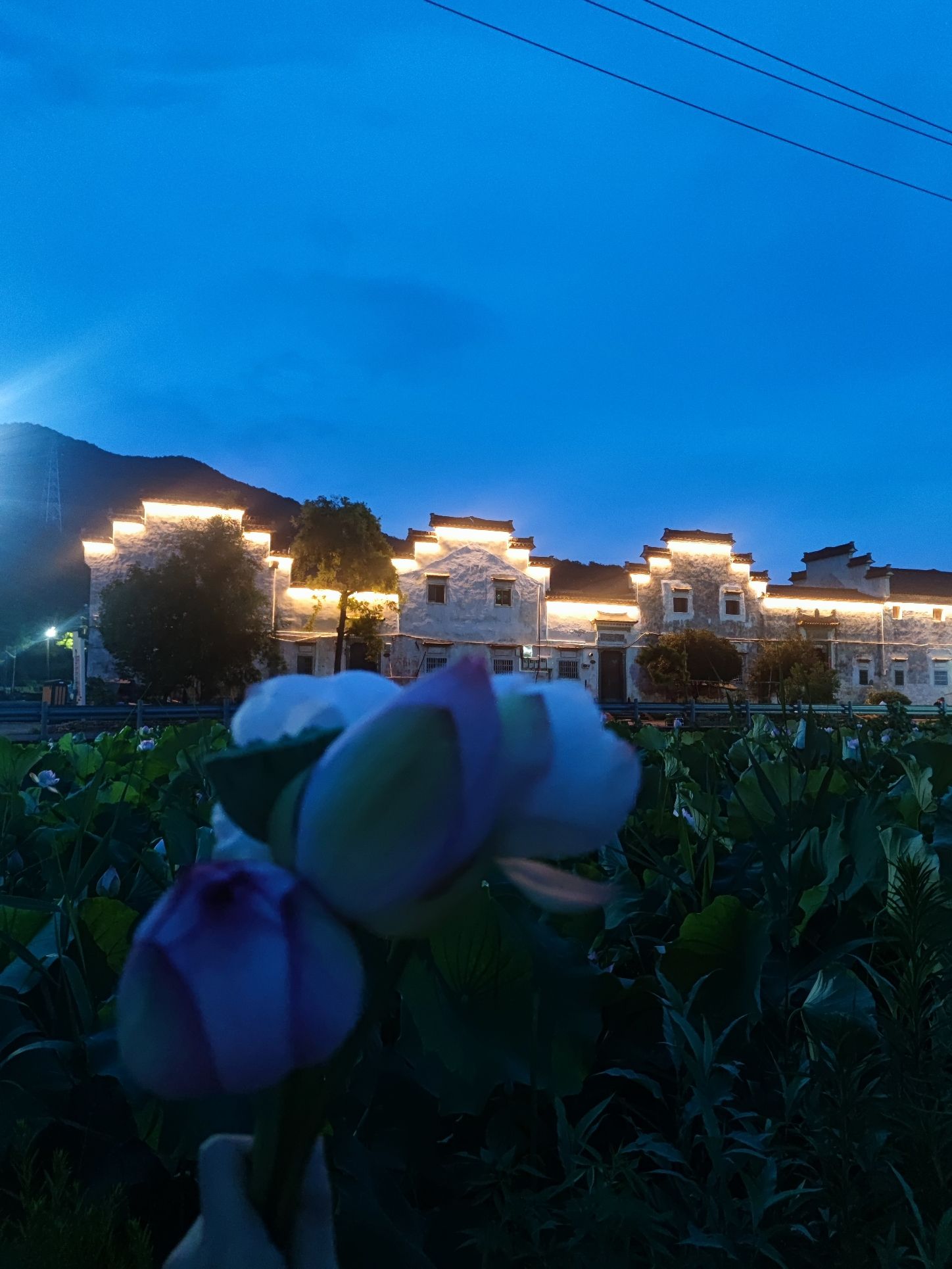 藏绿古建筑群旅行图片 1