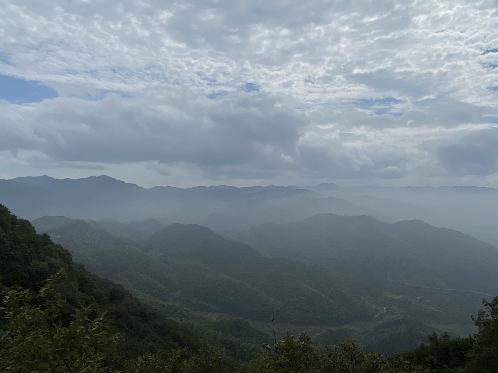 香榧森林公园走马岗旅行图片 1