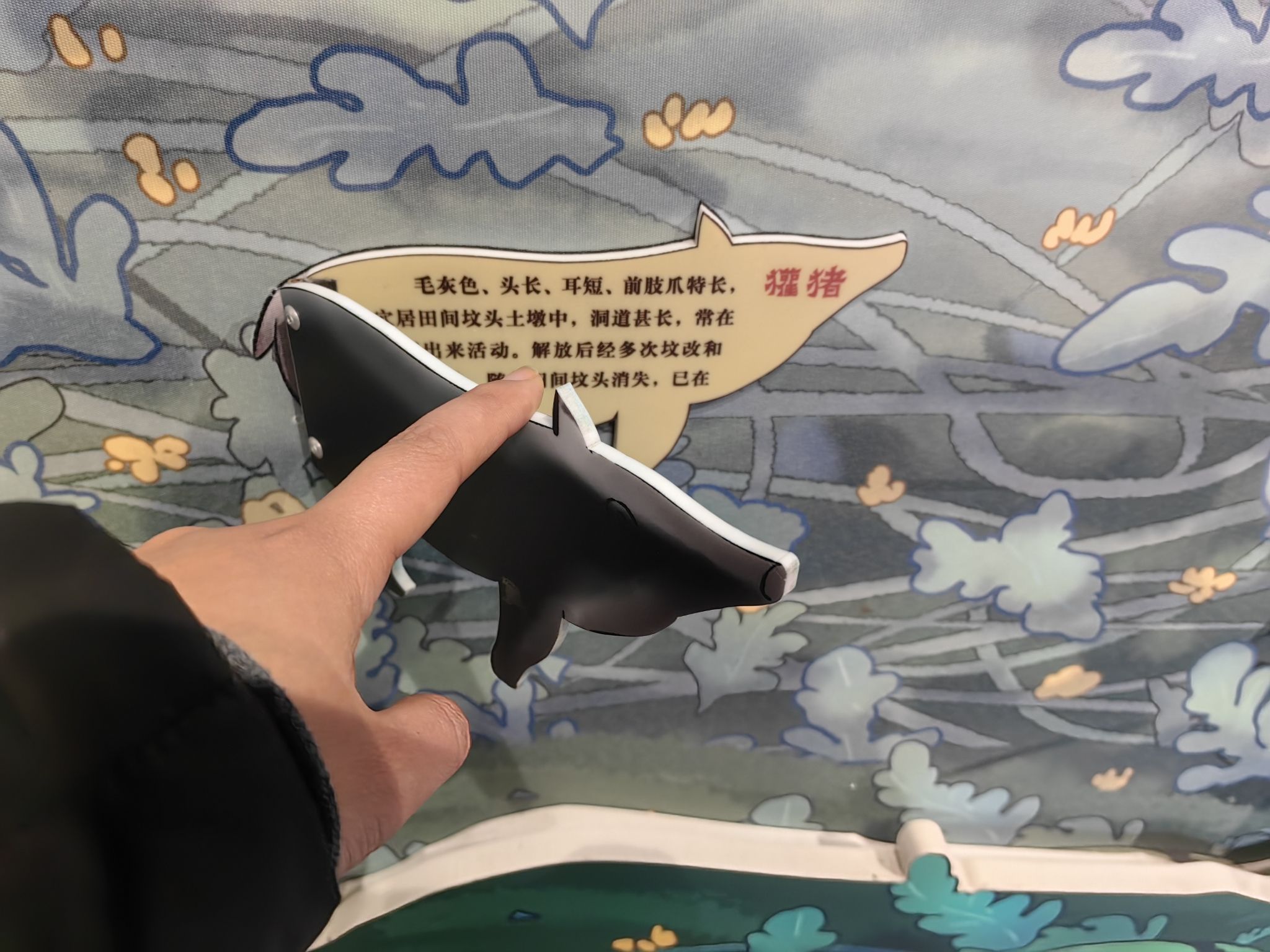 鲁迅外婆家景区旅行图片 3