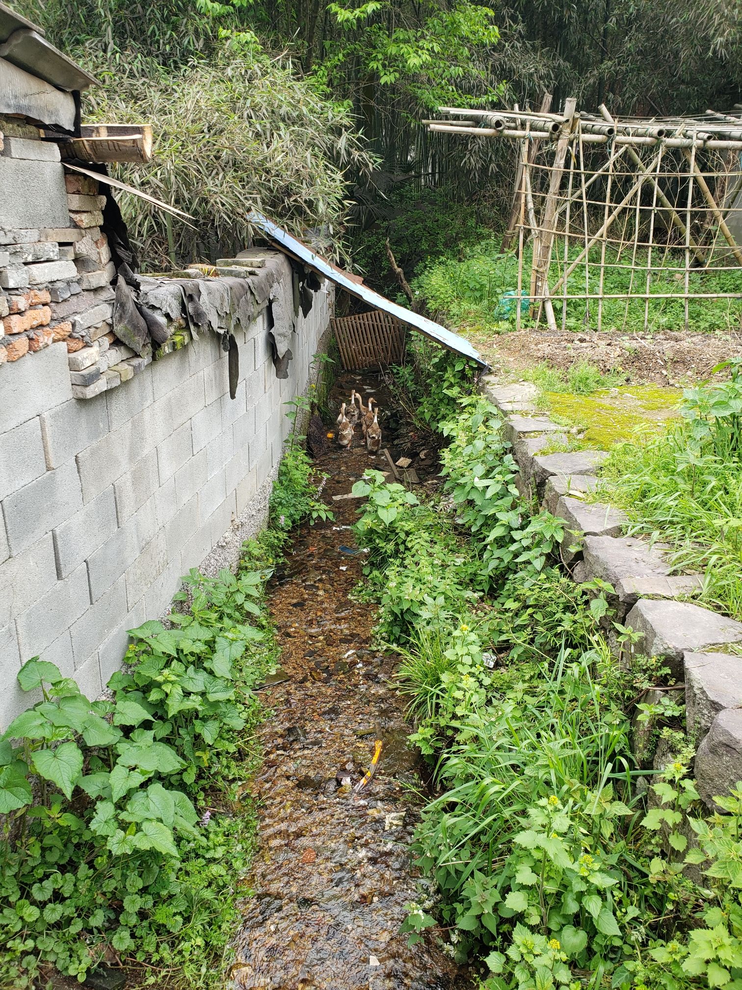 十里筠溪风景区旅行图片 1