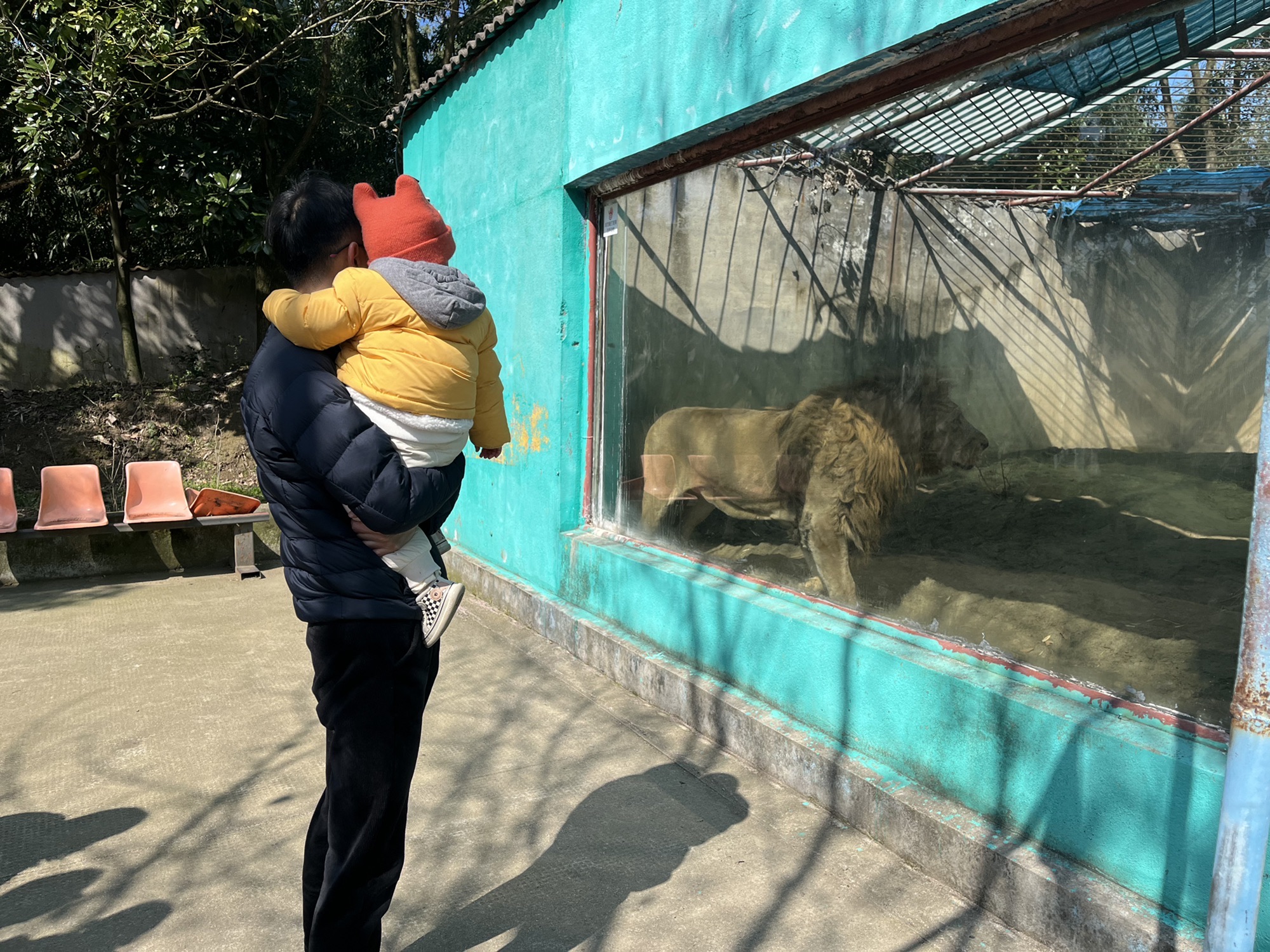 绍兴美湖动物园旅行图片 3