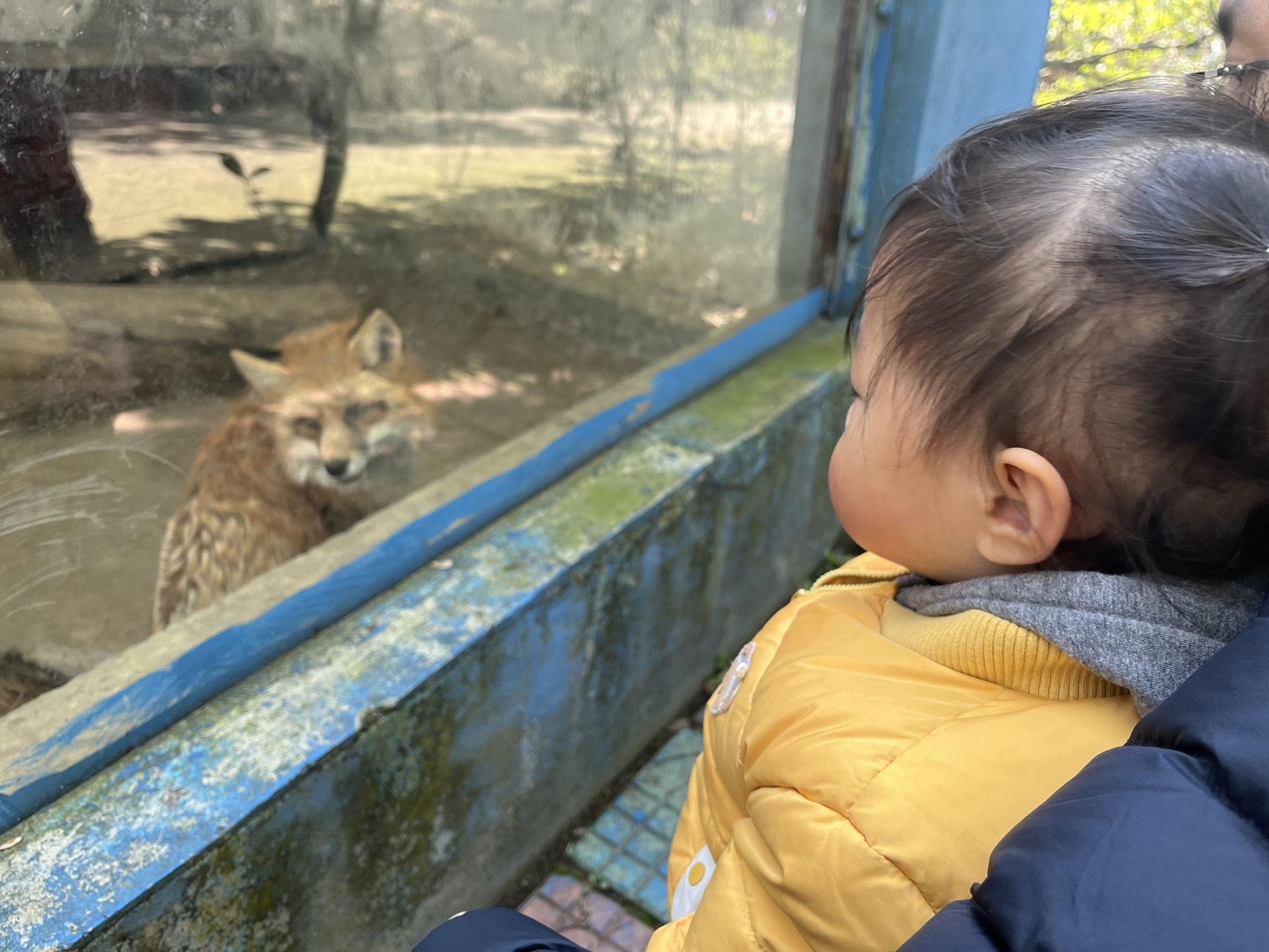 绍兴美湖动物园旅行图片 1