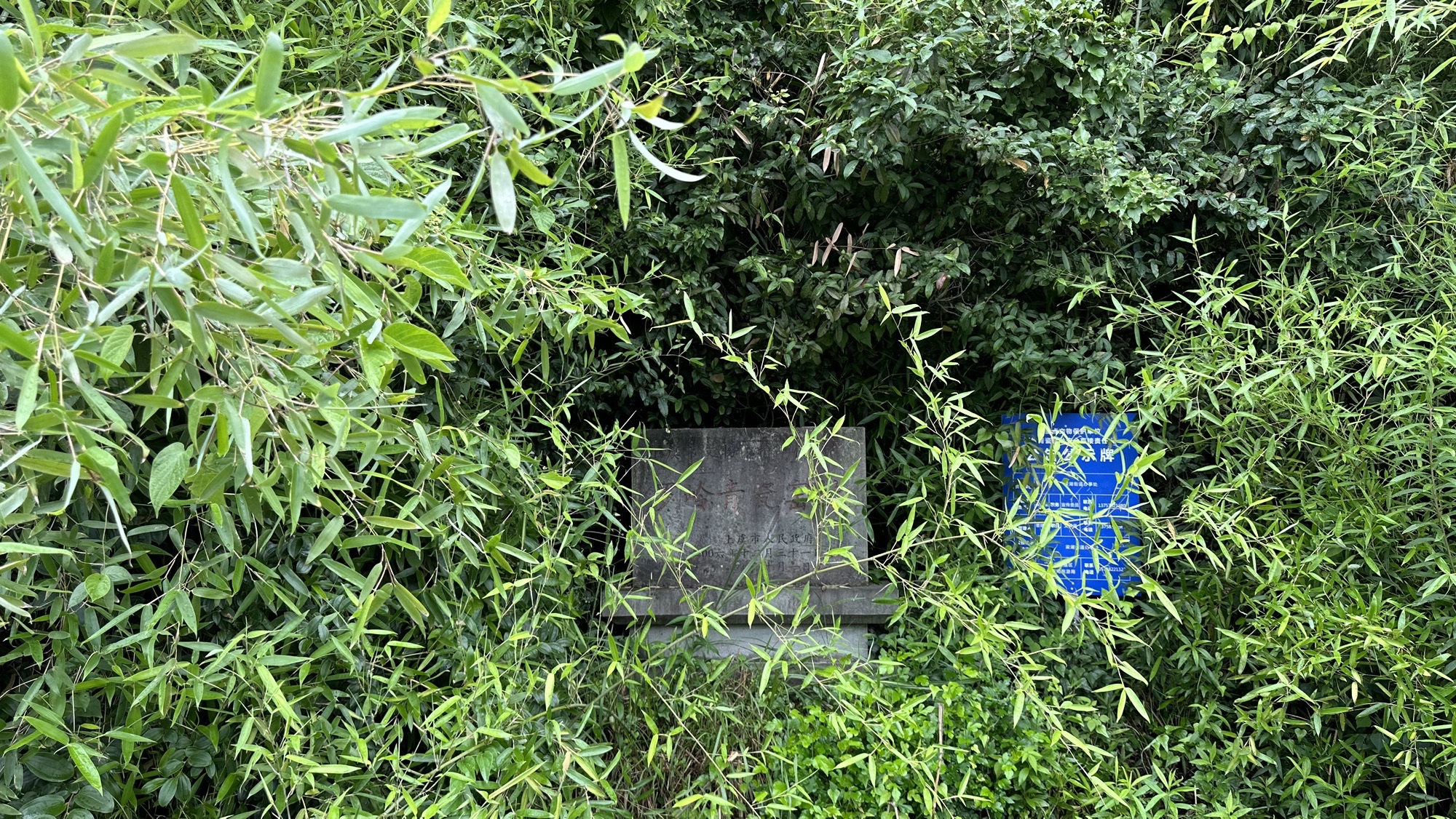 罗岭青瓷窑遗址旅行图片 1