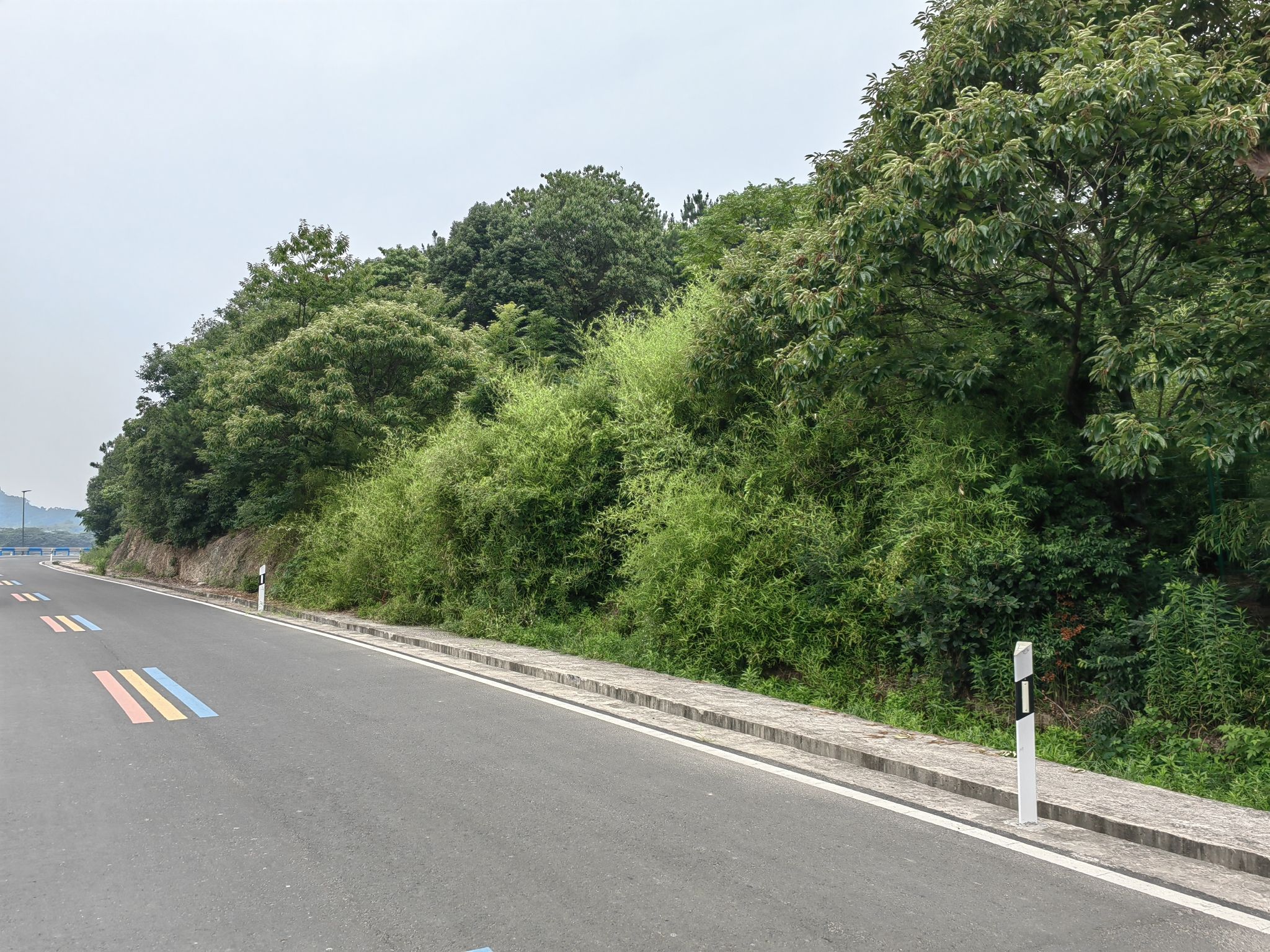 罗岭青瓷窑遗址旅行图片 1
