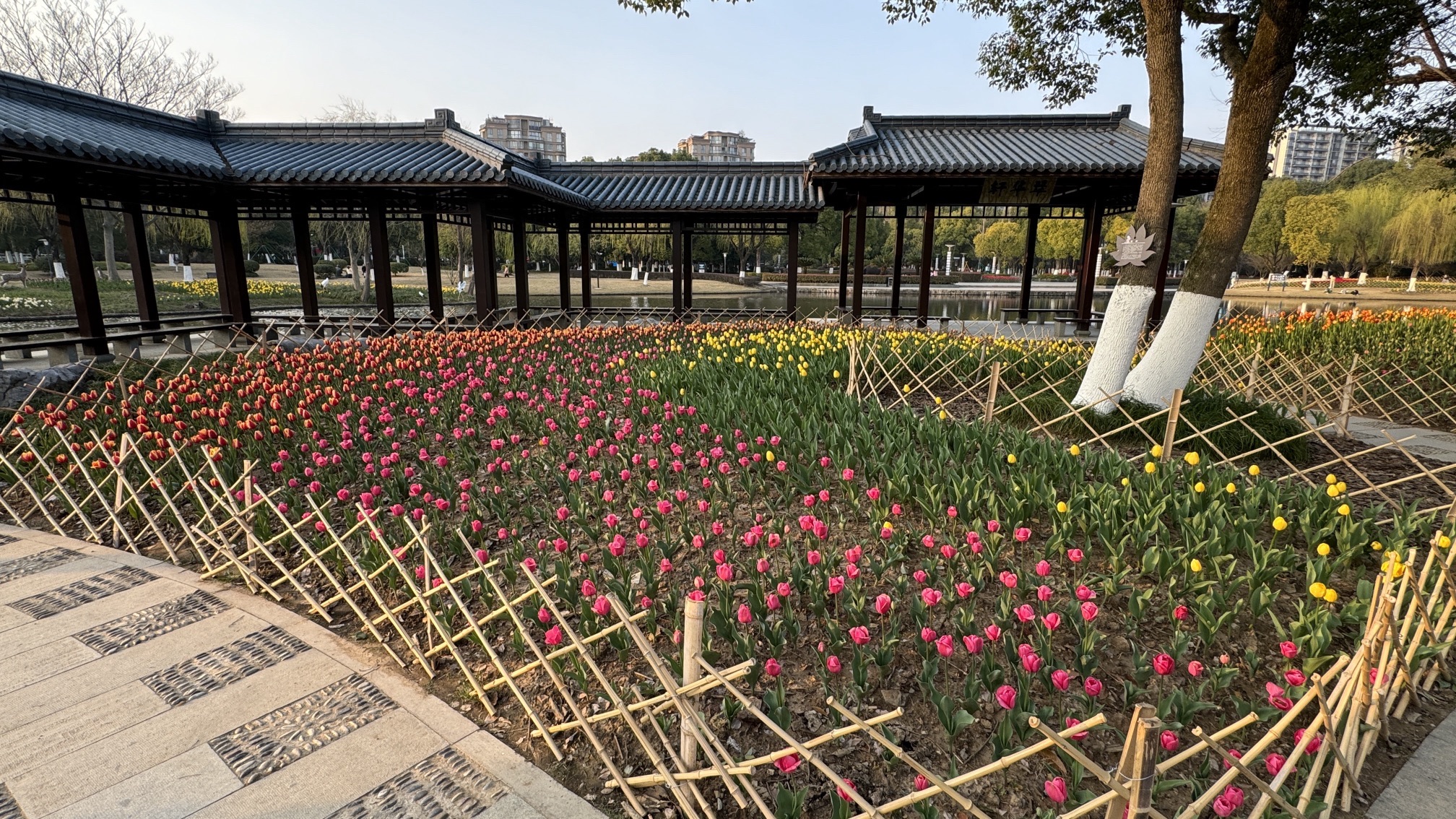 体育公园旅行图片 2