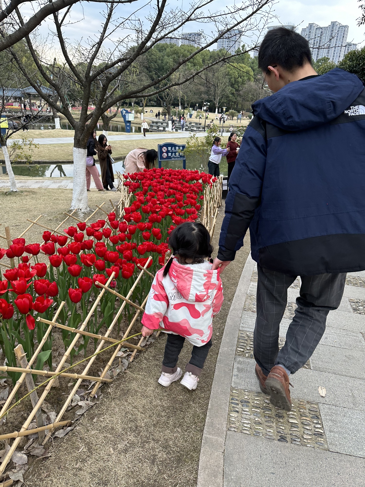 体育公园旅行图片 1
