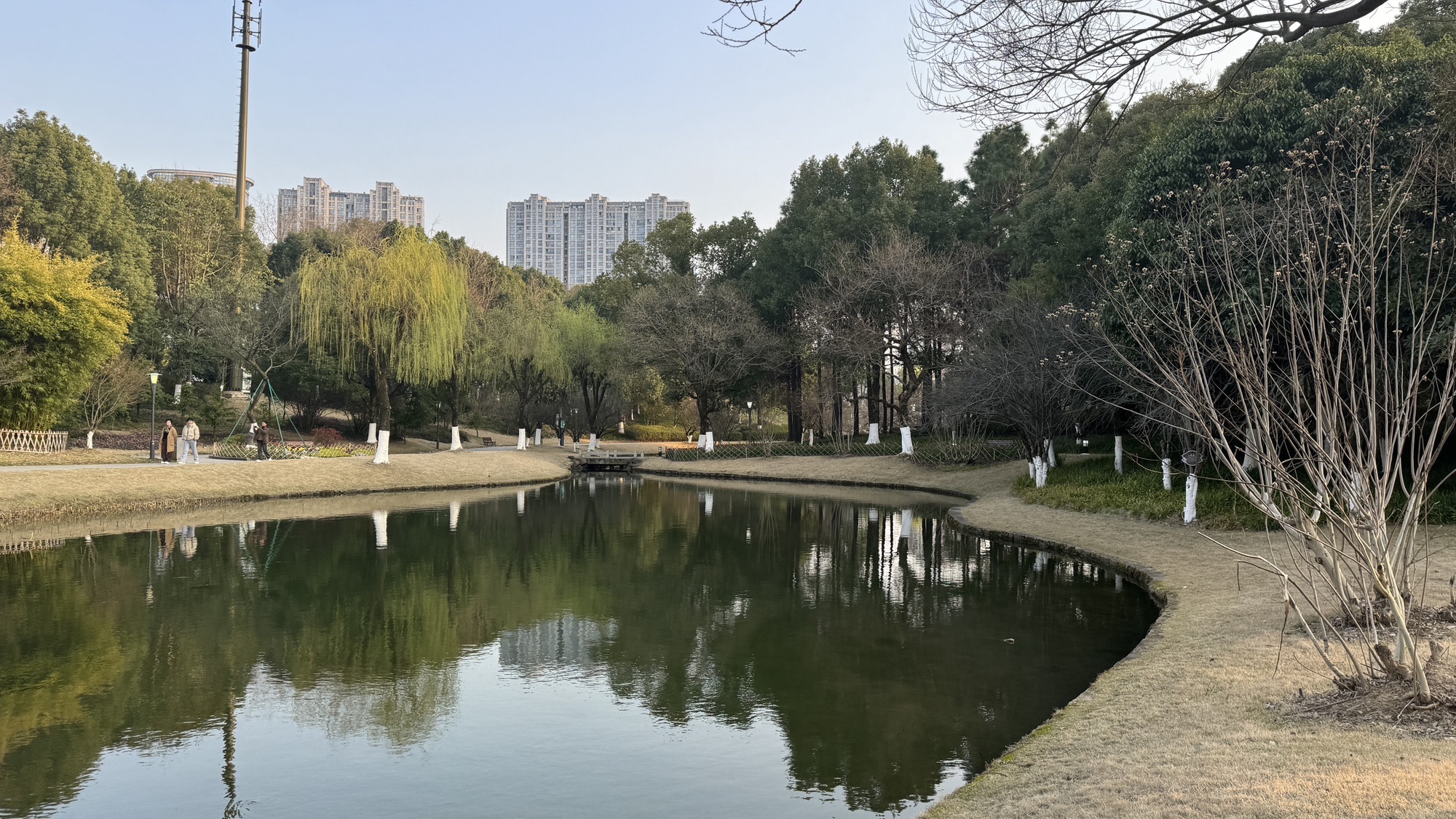 体育公园旅行图片 1