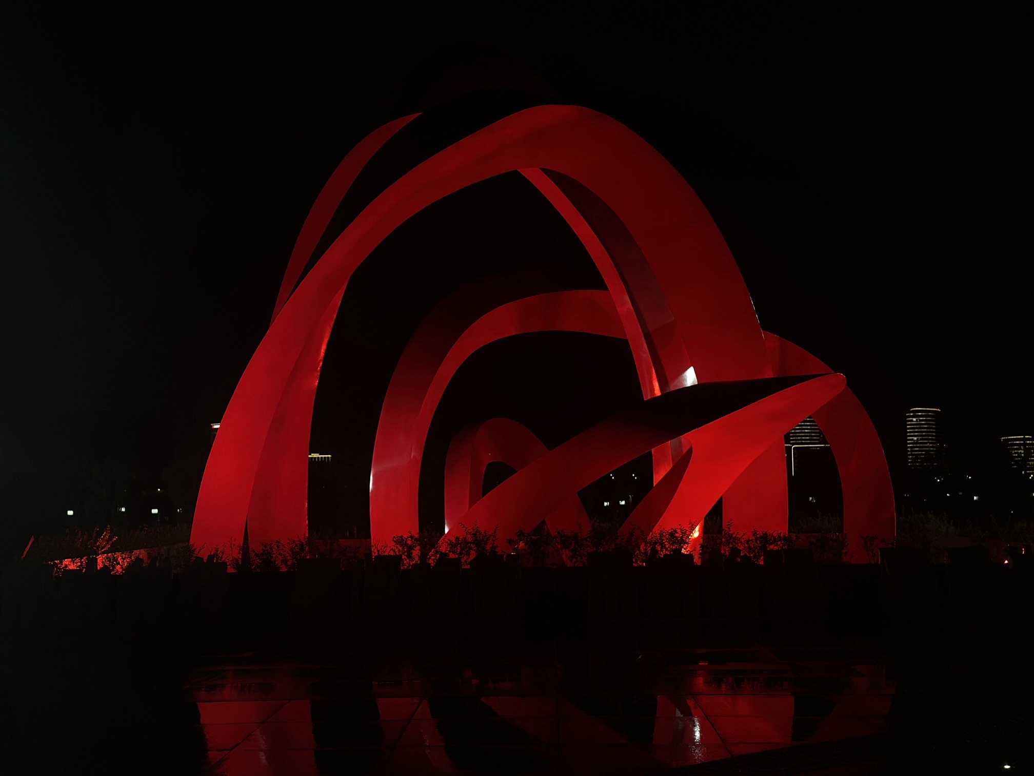 湿地公园旅行图片 3