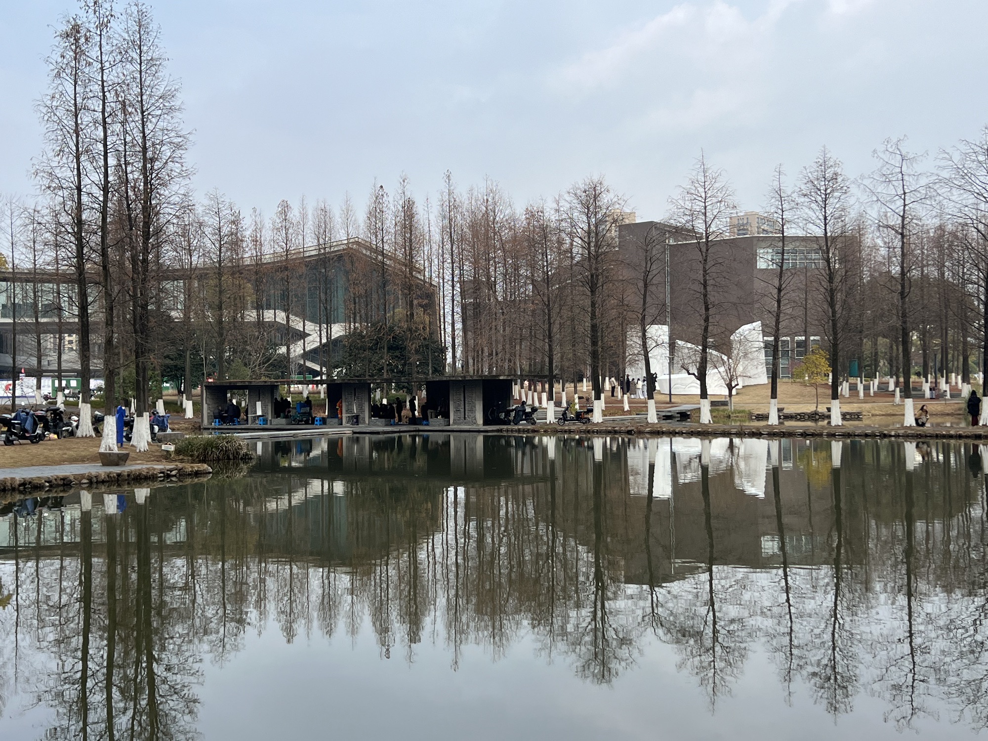 湿地公园旅行图片 2