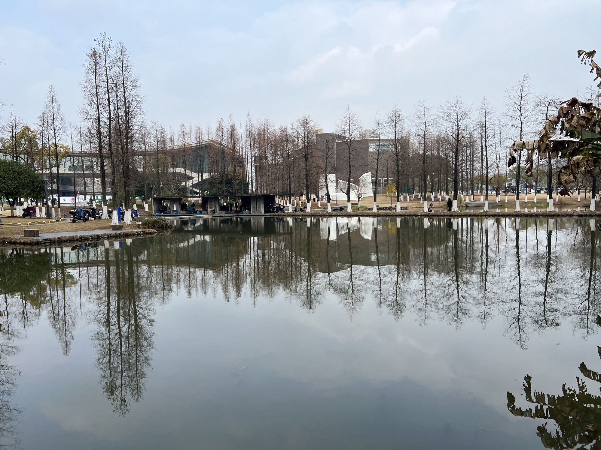 湿地公园旅行图片 3