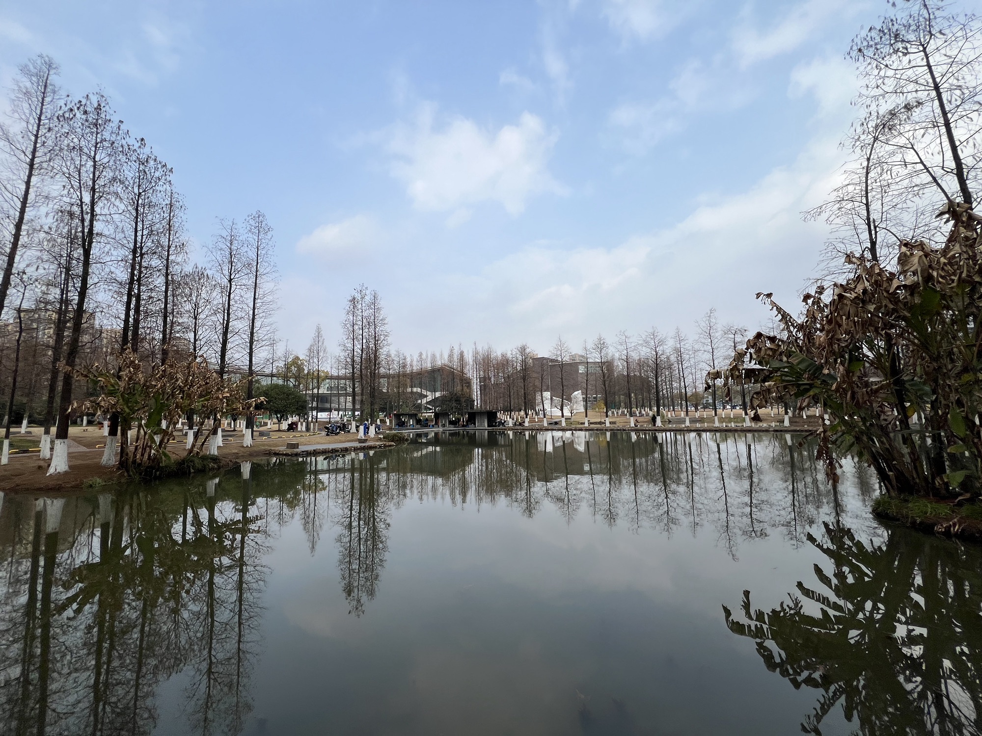 湿地公园旅行图片 1