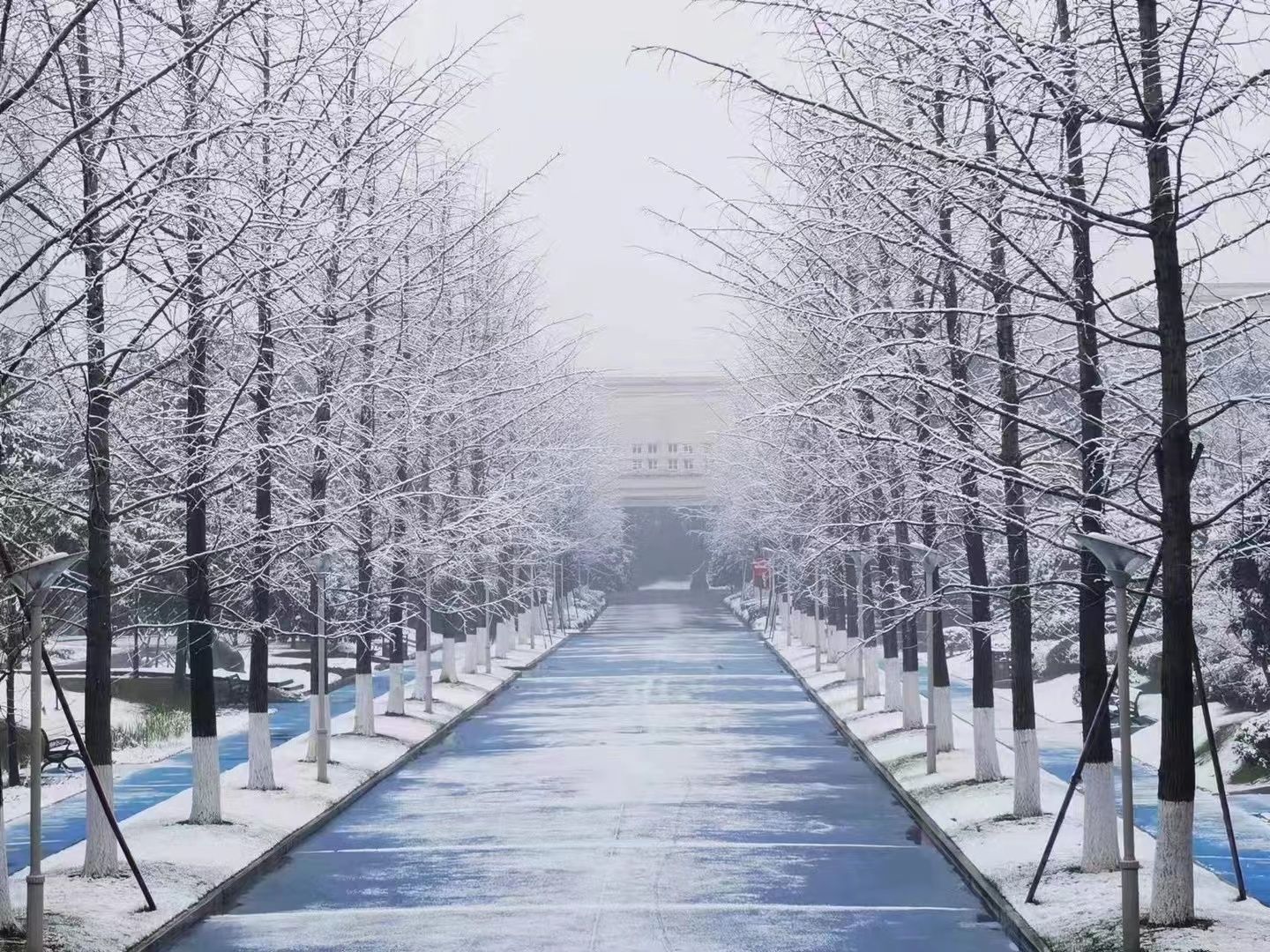 绍兴职业技术学院