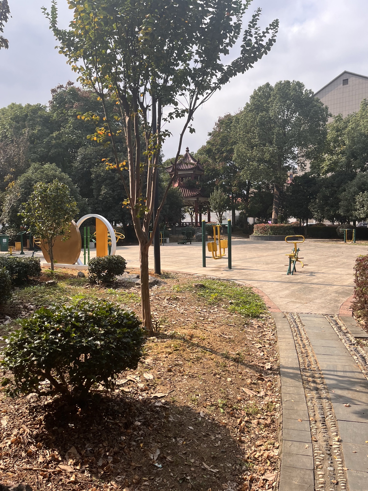 黎明村毛阳公园旅行图片 2