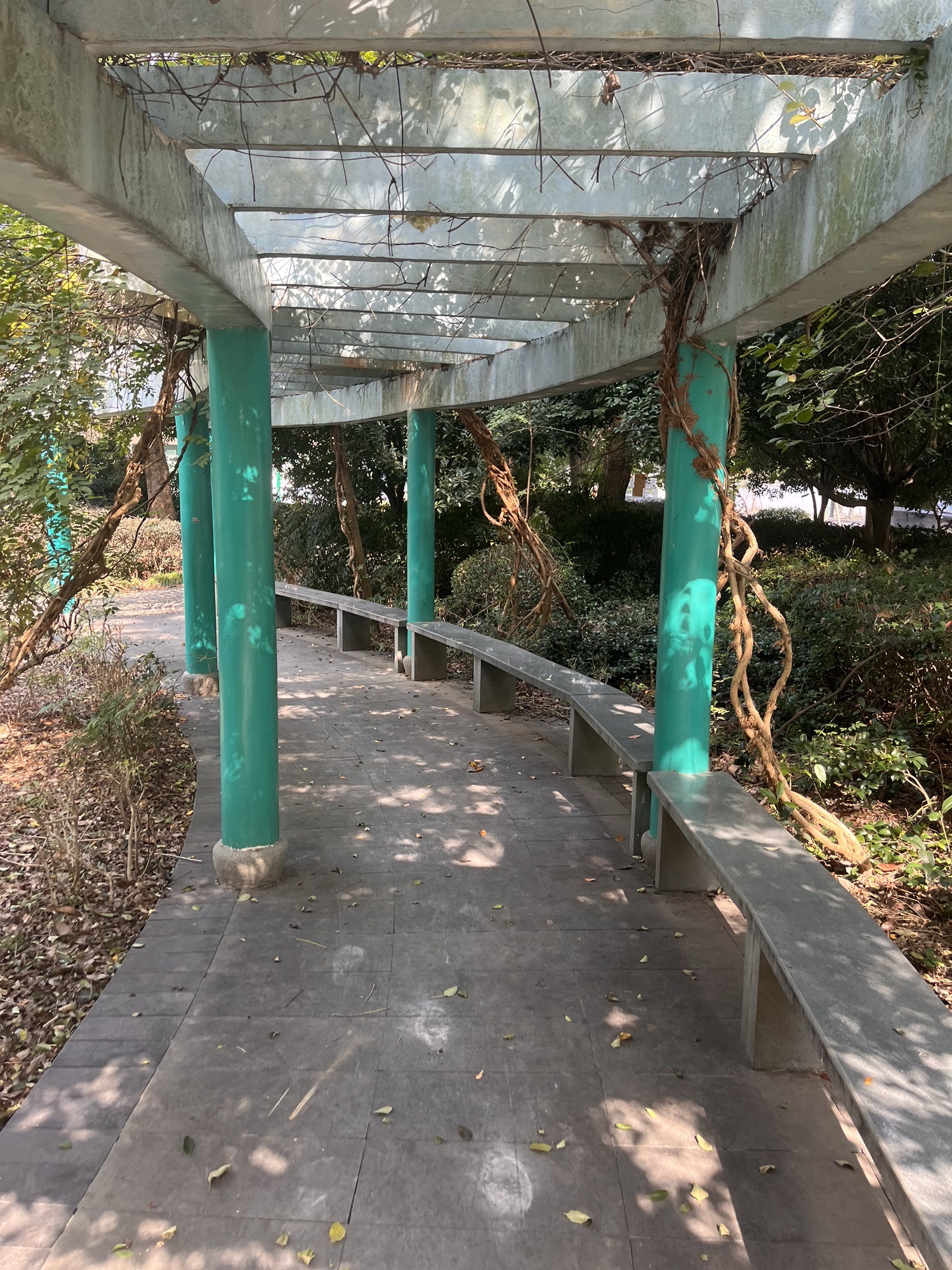 黎明村毛阳公园旅行图片 3