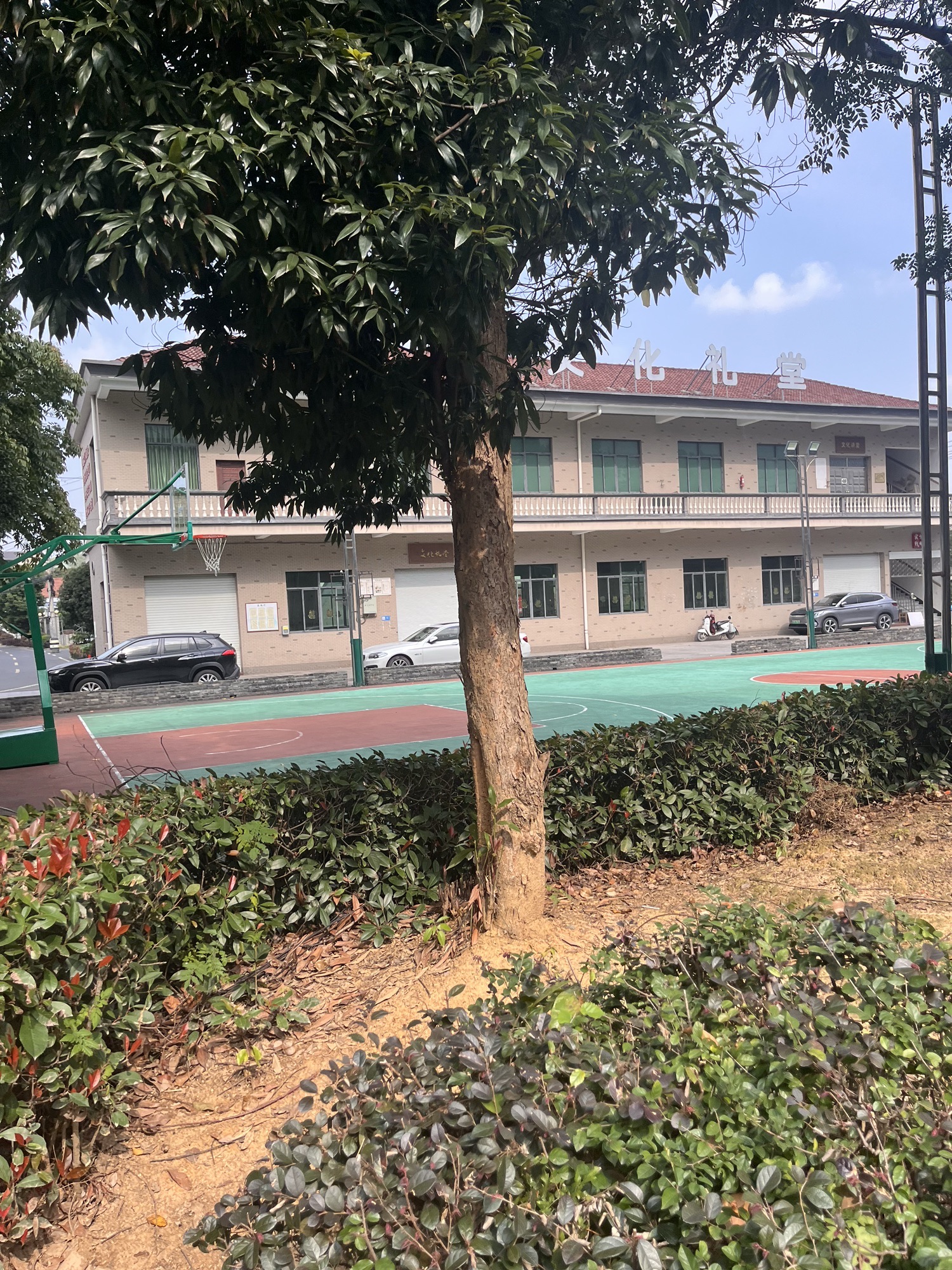 黎明村毛阳公园旅行图片 1