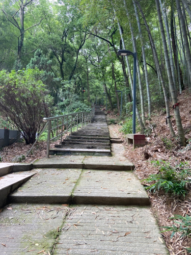 称山风景区旅行图片 1