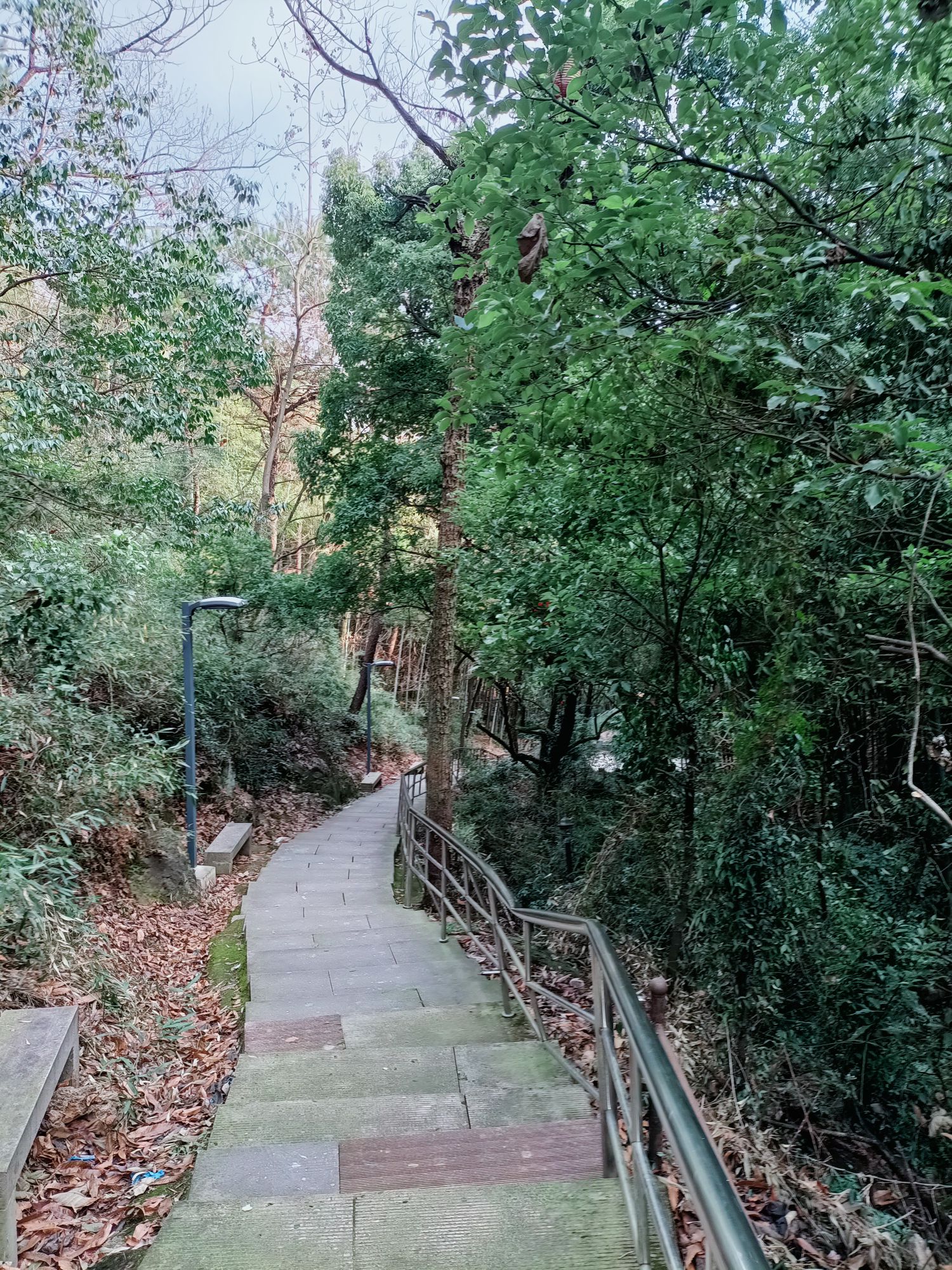 称山风景区旅行图片 1