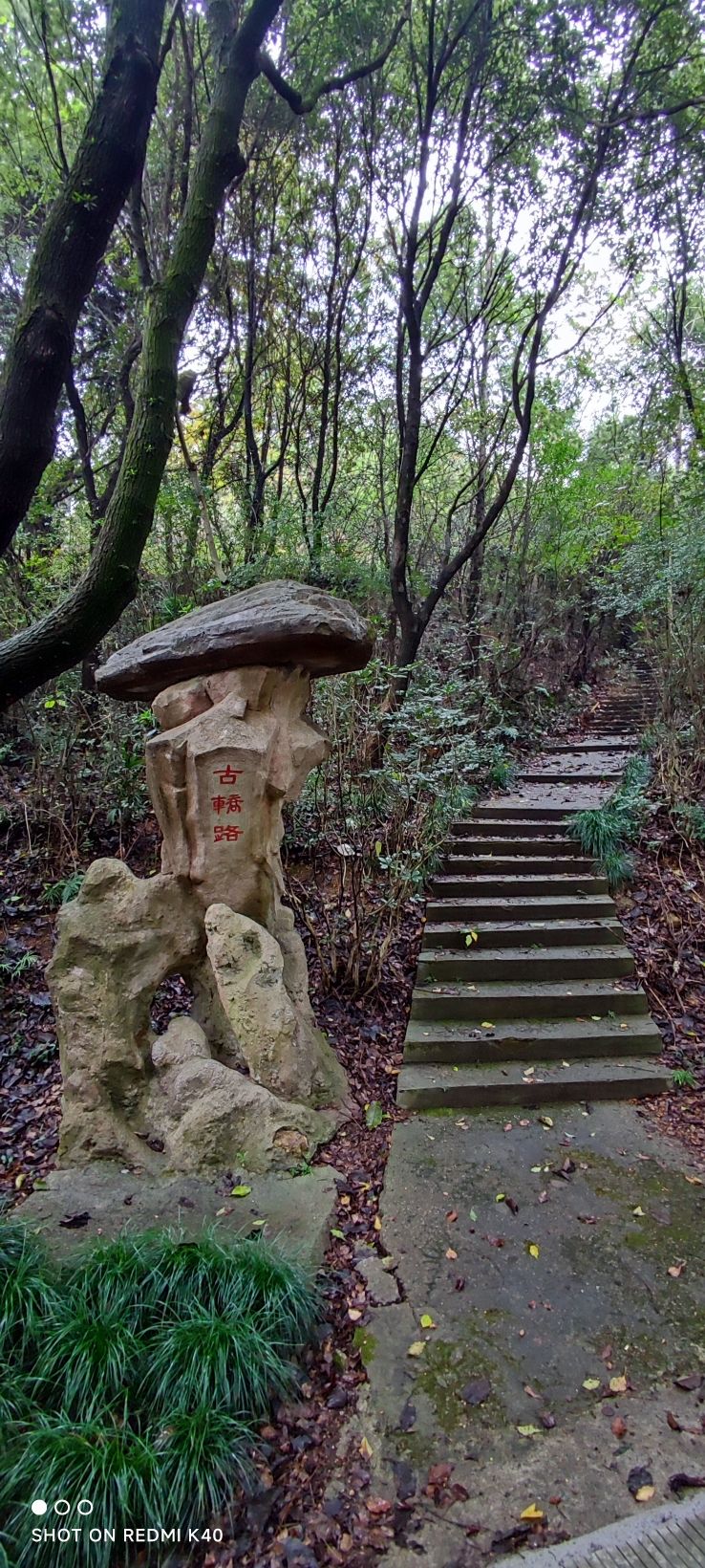 称山风景区旅行图片 3