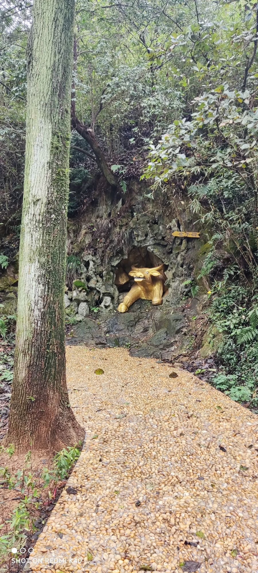称山风景区旅行图片 2