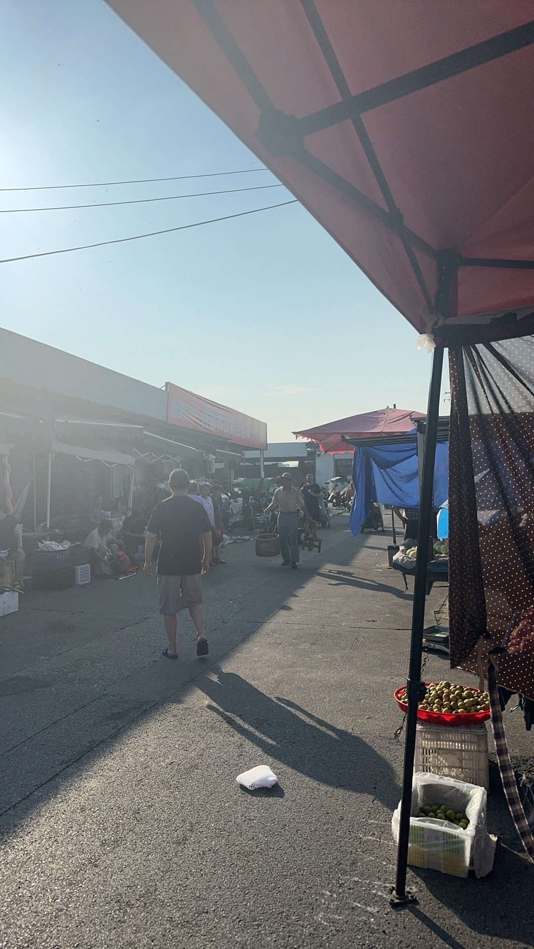 州山农产品集散中心