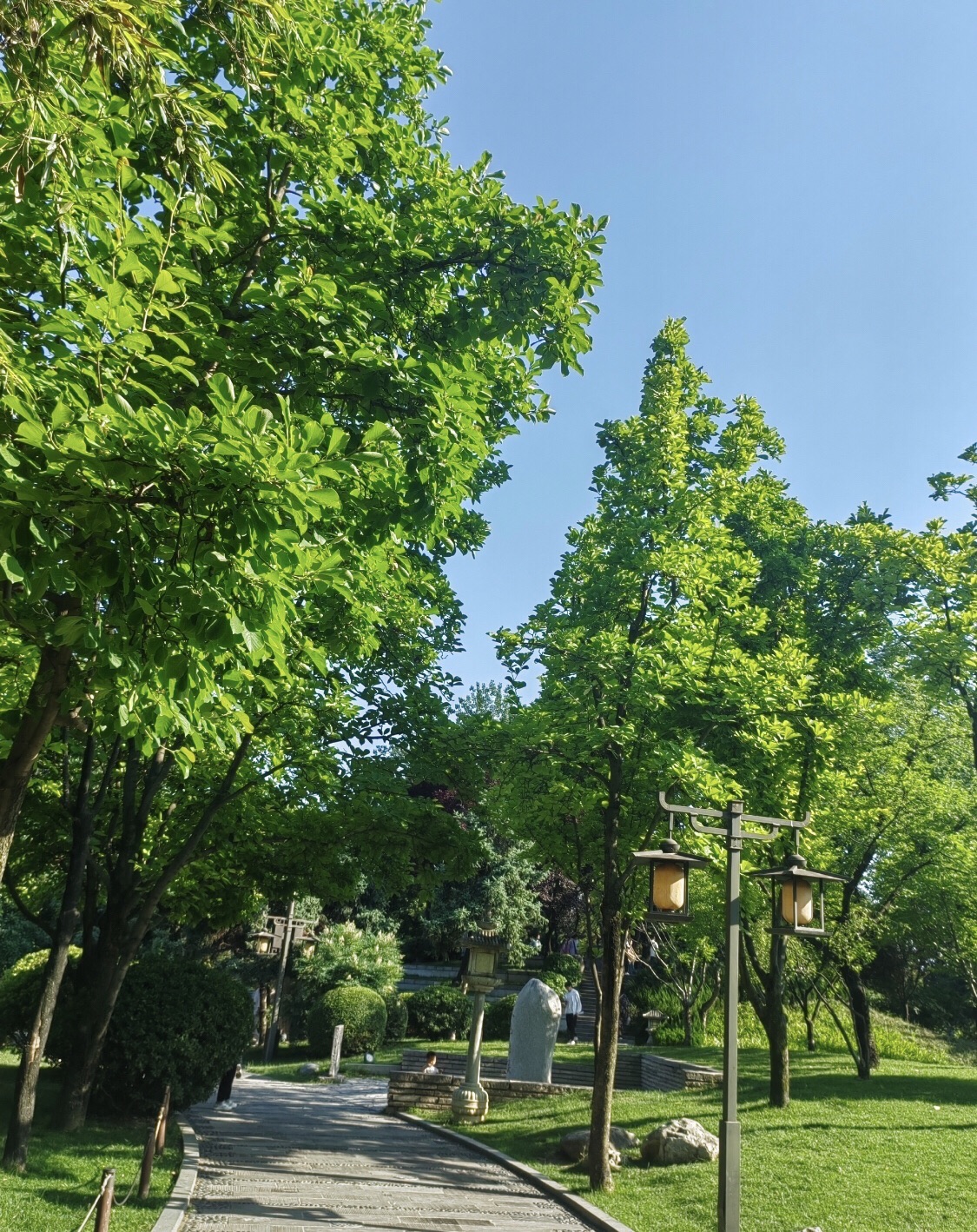 诸暨大唐公园旅行图片 3