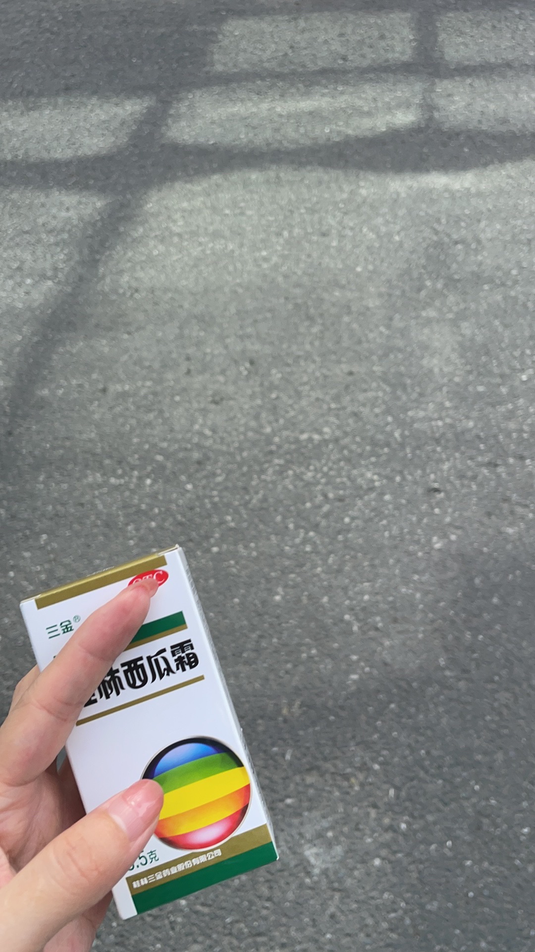 环翠公园旅行图片 3