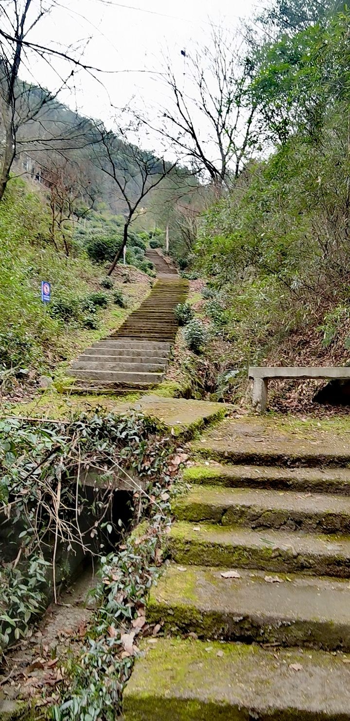 大岩寺旅行图片 3
