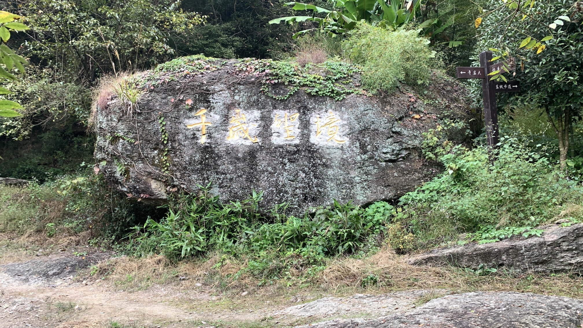 大岩寺旅行图片 3
