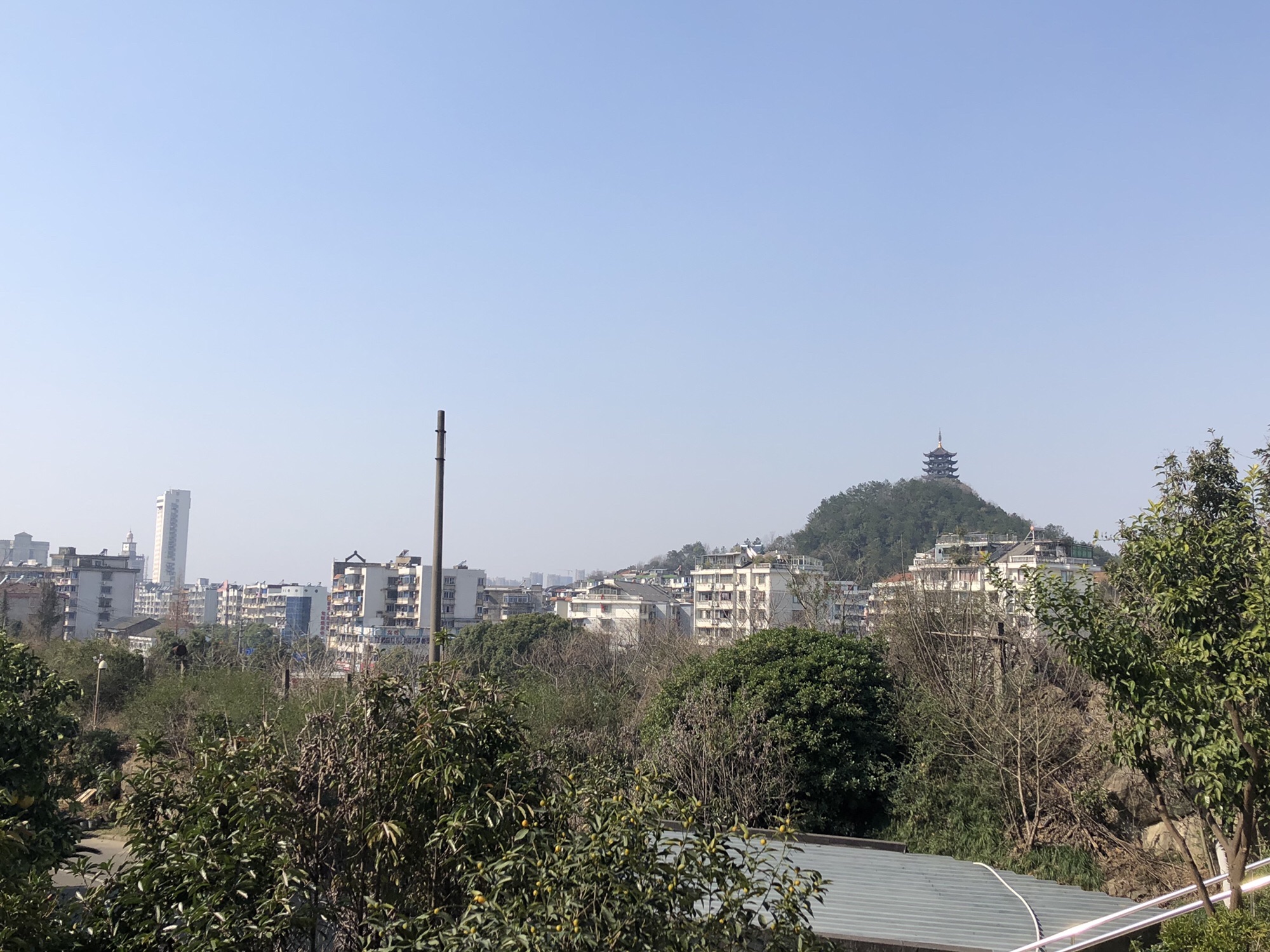 虹蛘公园旅行图片 1