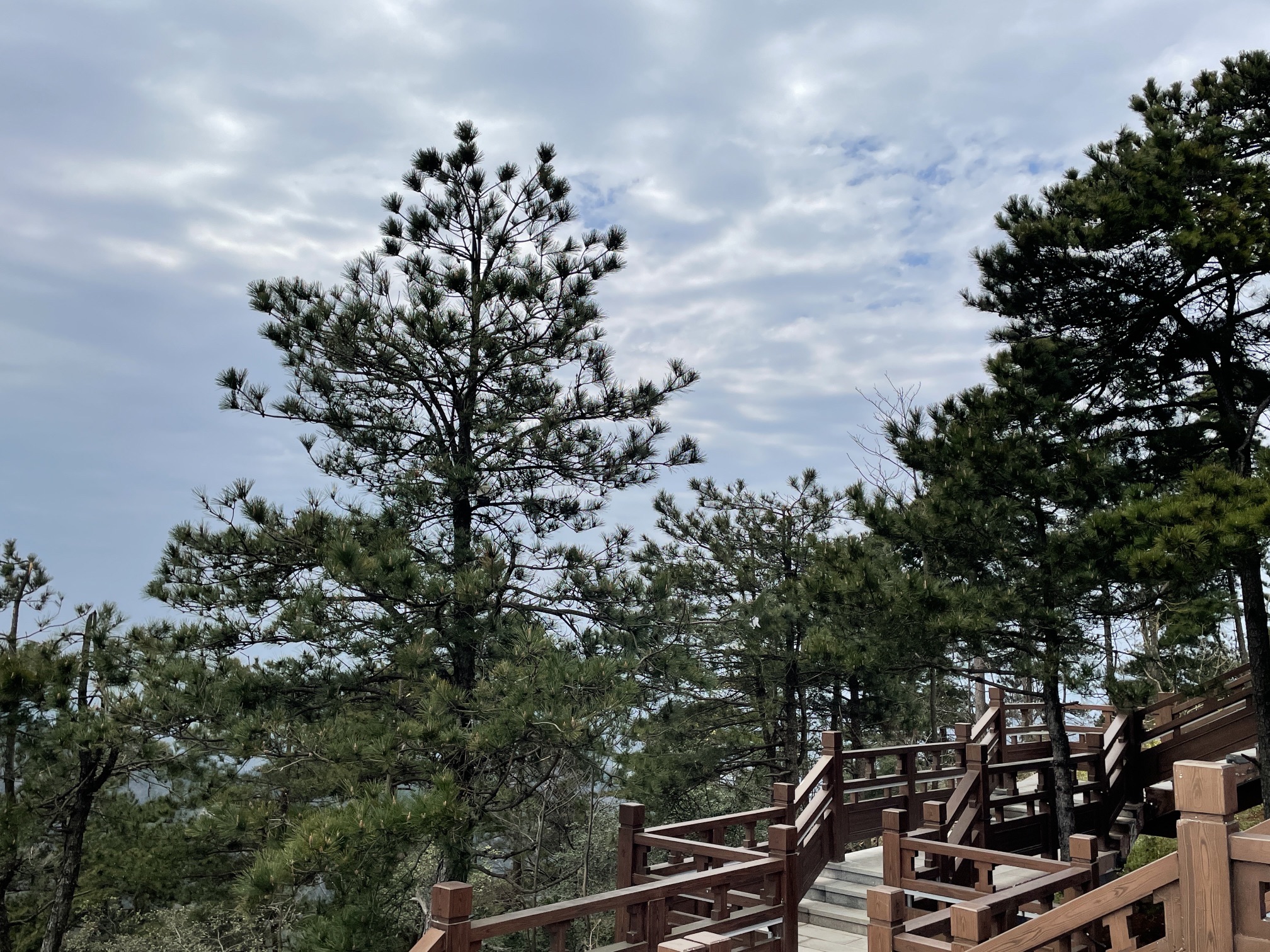 天姥山景区旅行图片 3