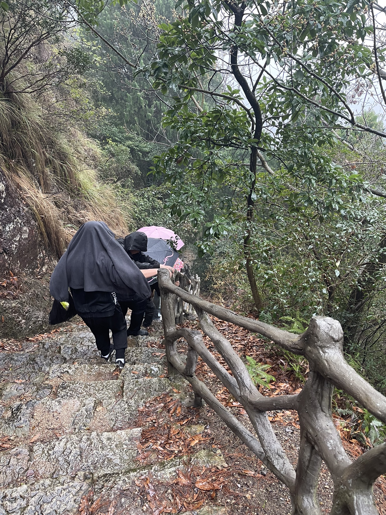 九峰公园旅行图片 1