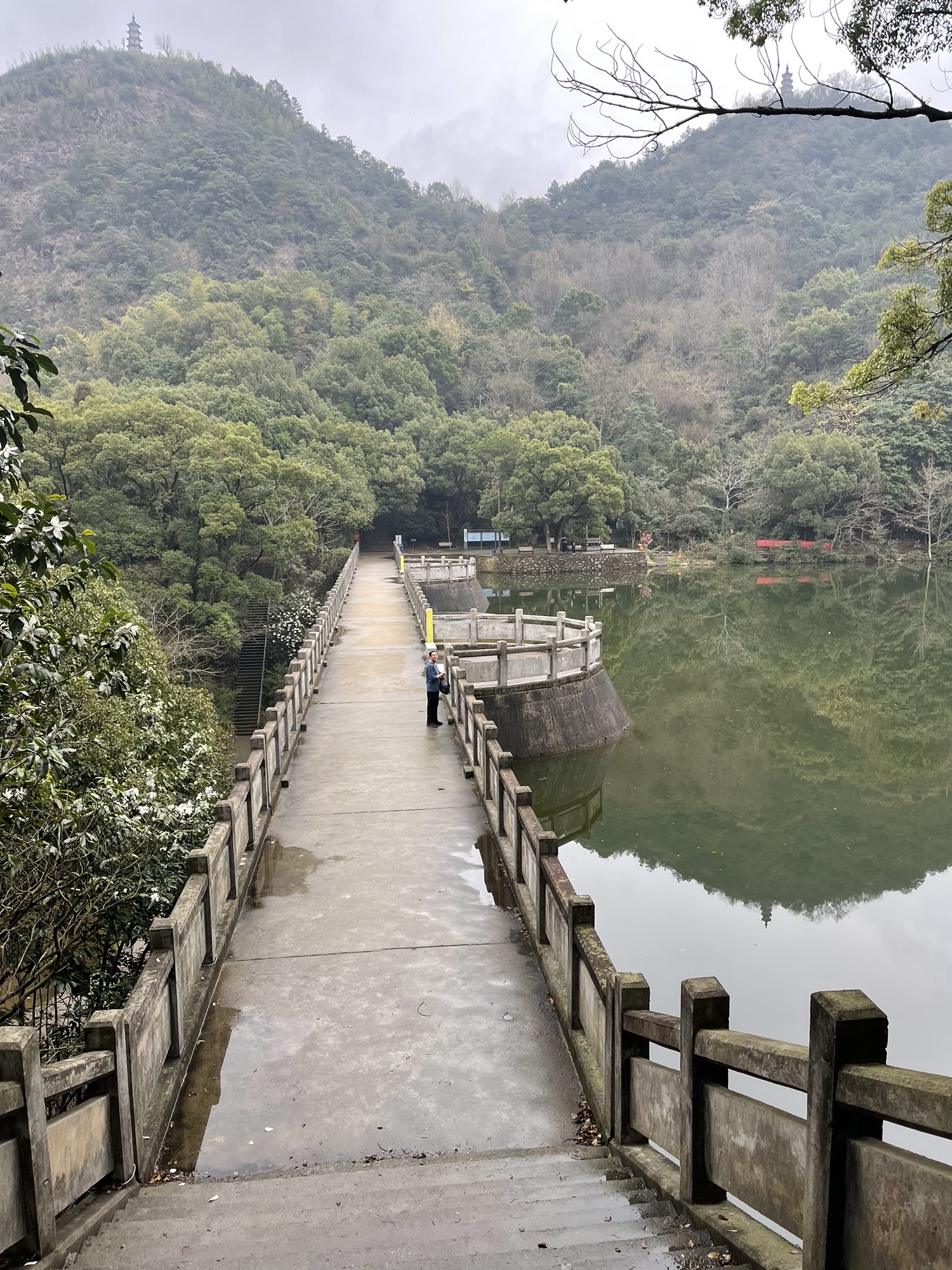 九峰公园旅行图片 2