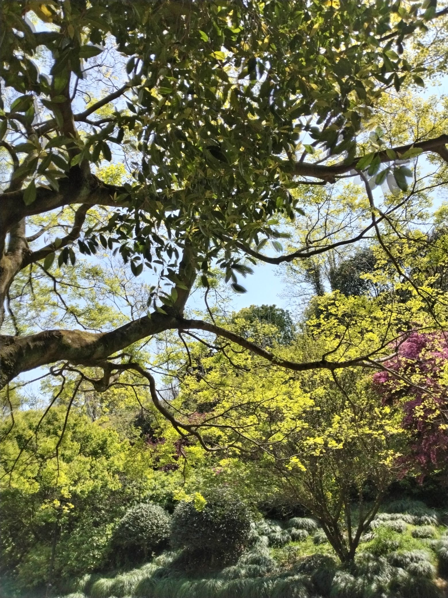 东辉公园旅行图片 3