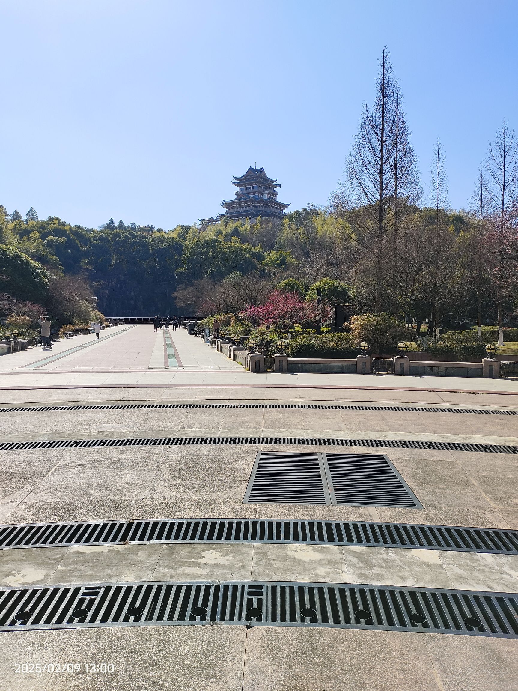 东辉公园旅行图片 1