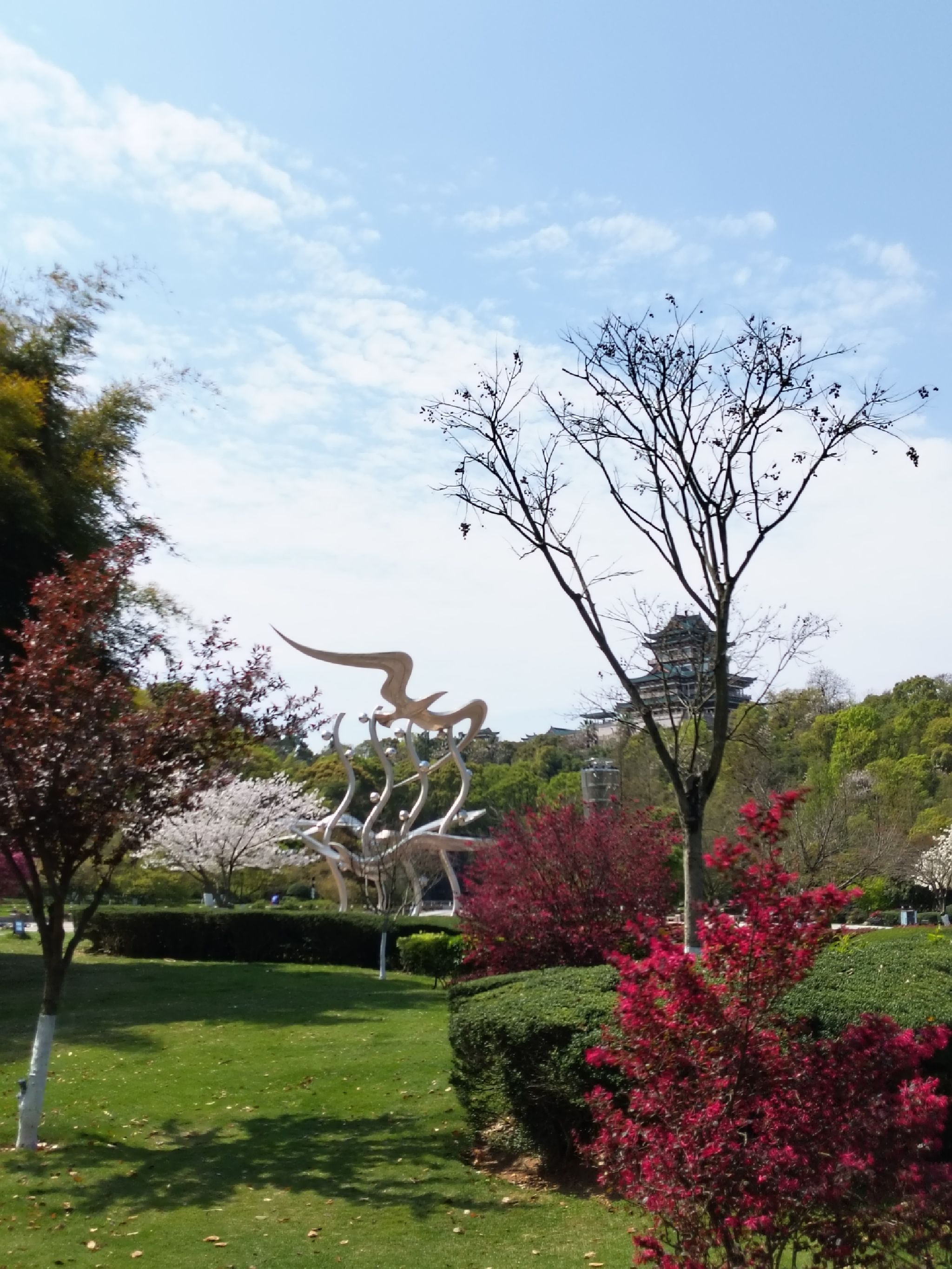 东辉公园旅行图片 1