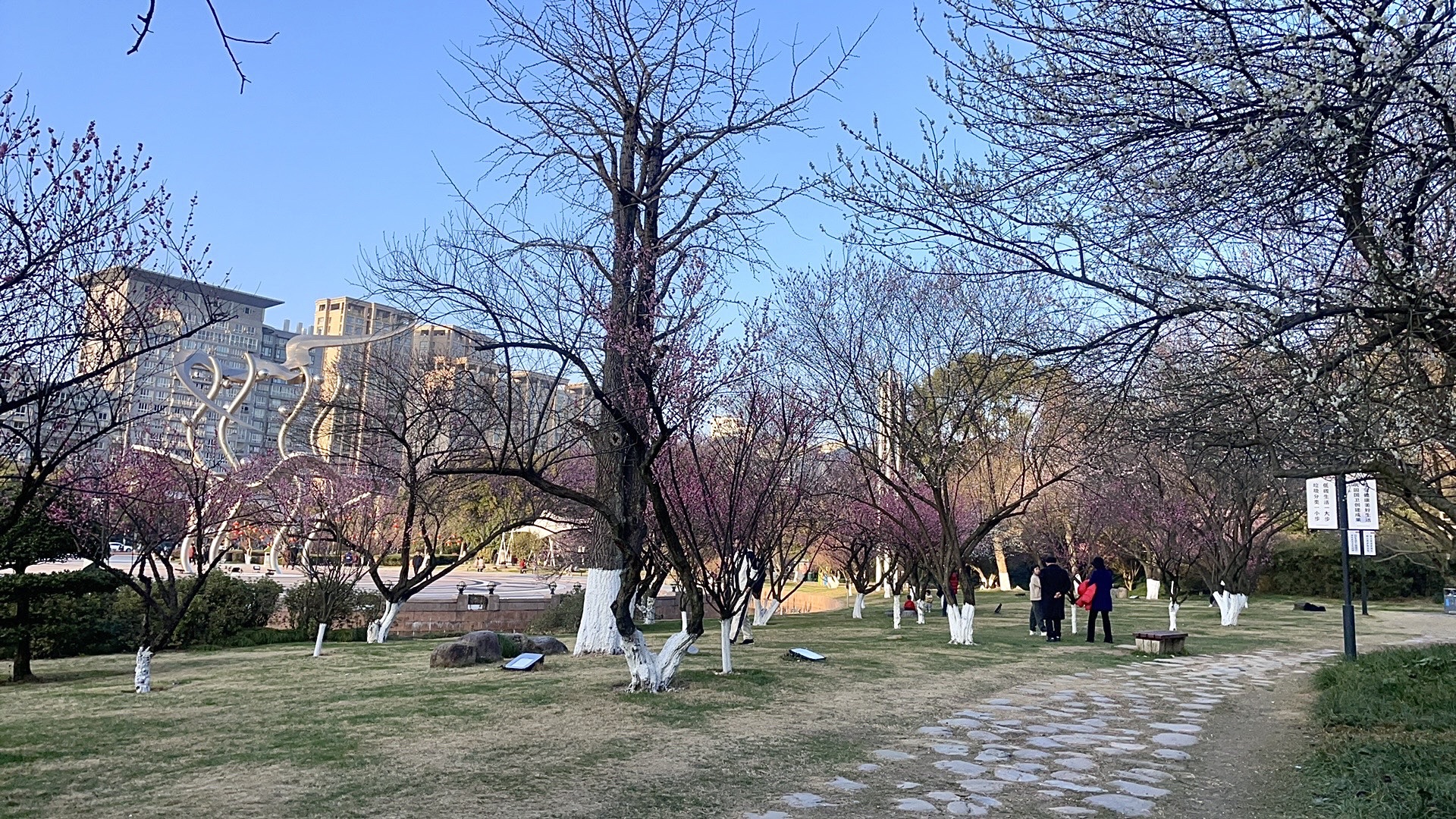 东辉公园旅行图片 3