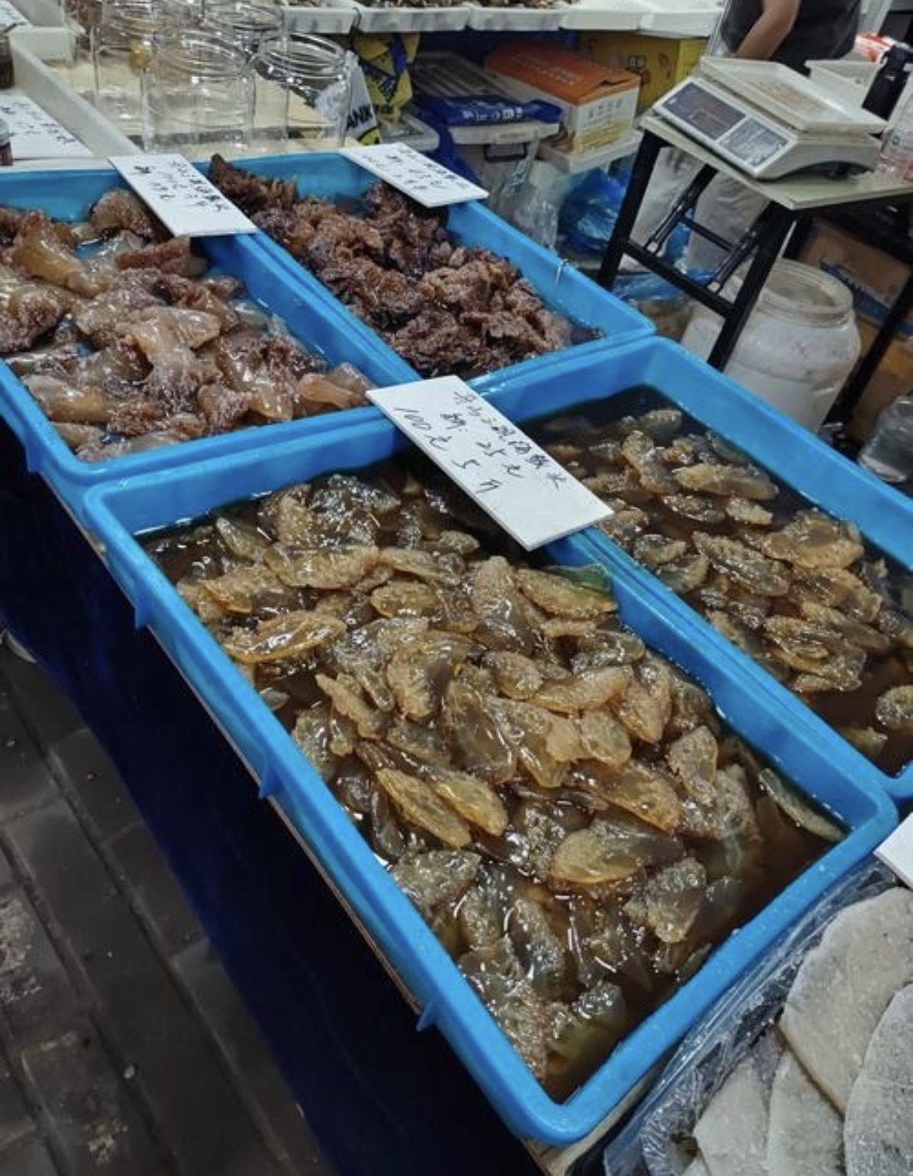 台州泽国水产品批发市场