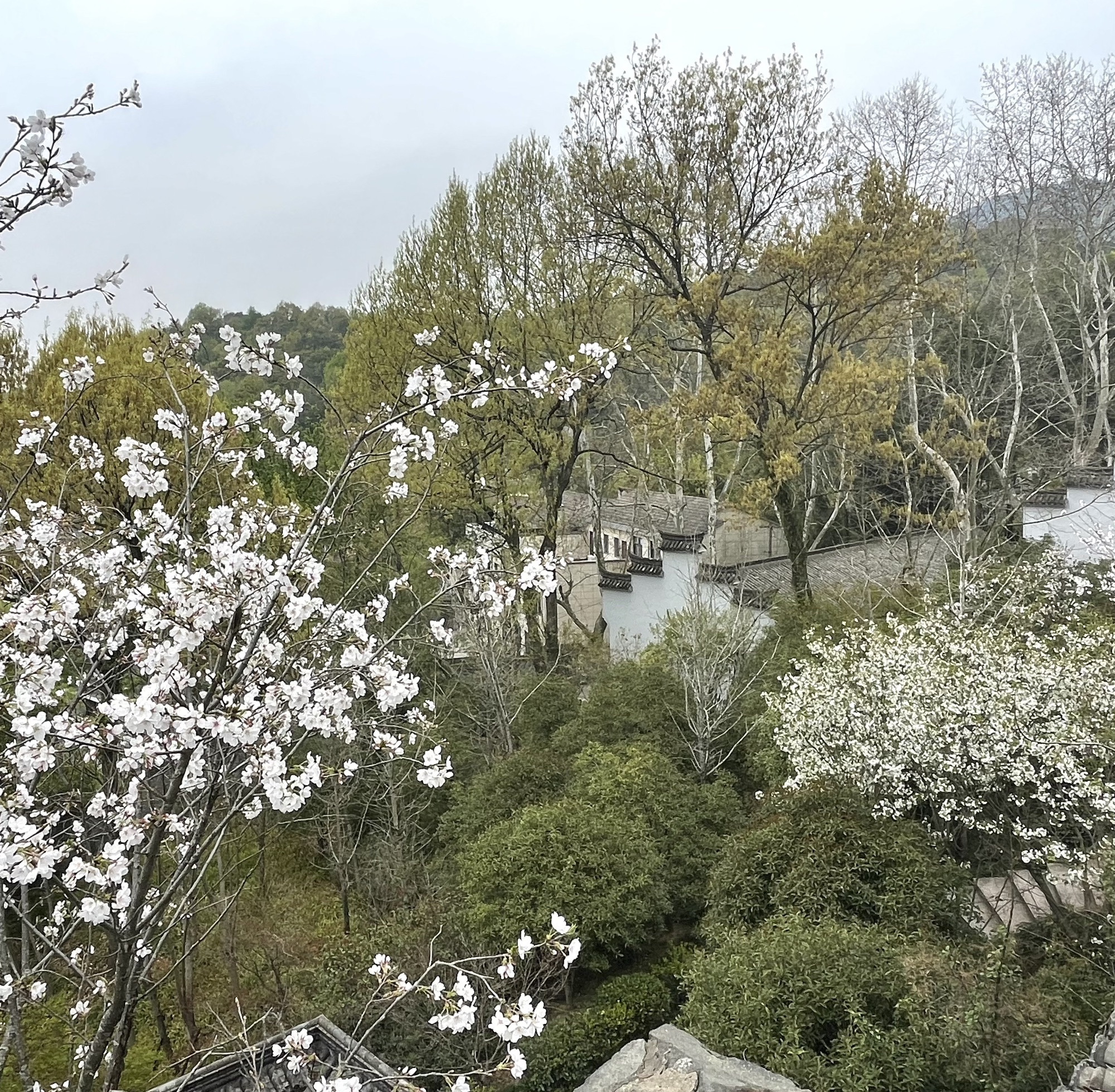 崇和门旅行图片 3