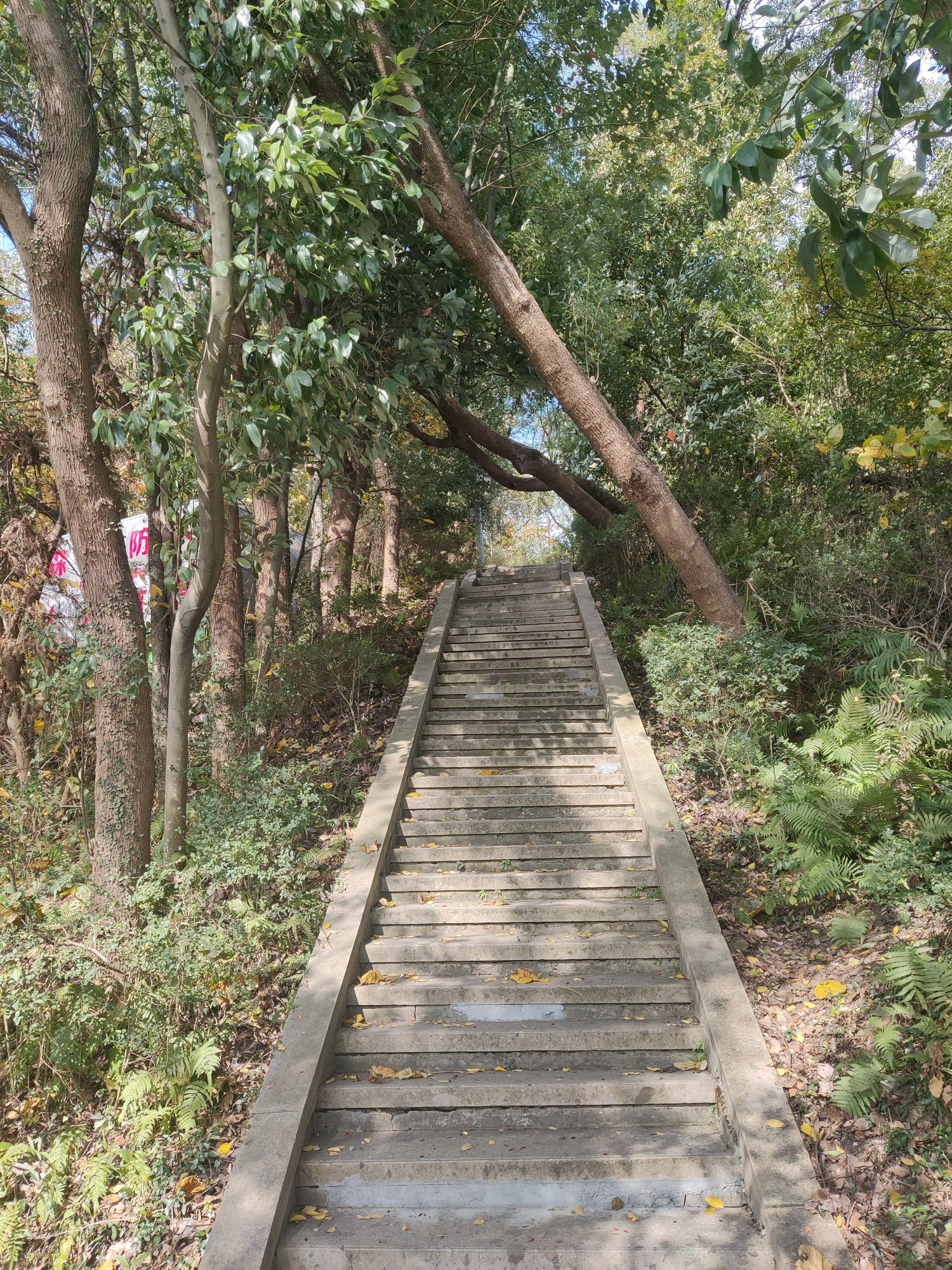温岭丹崖风景名胜区旅行图片 1
