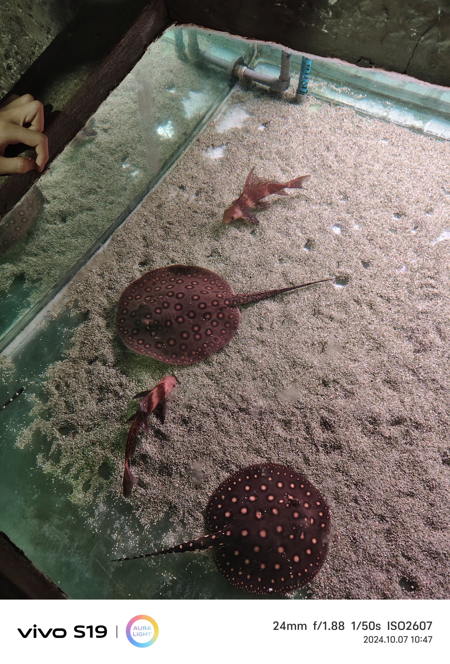 台州海洋世界旅行图片 3