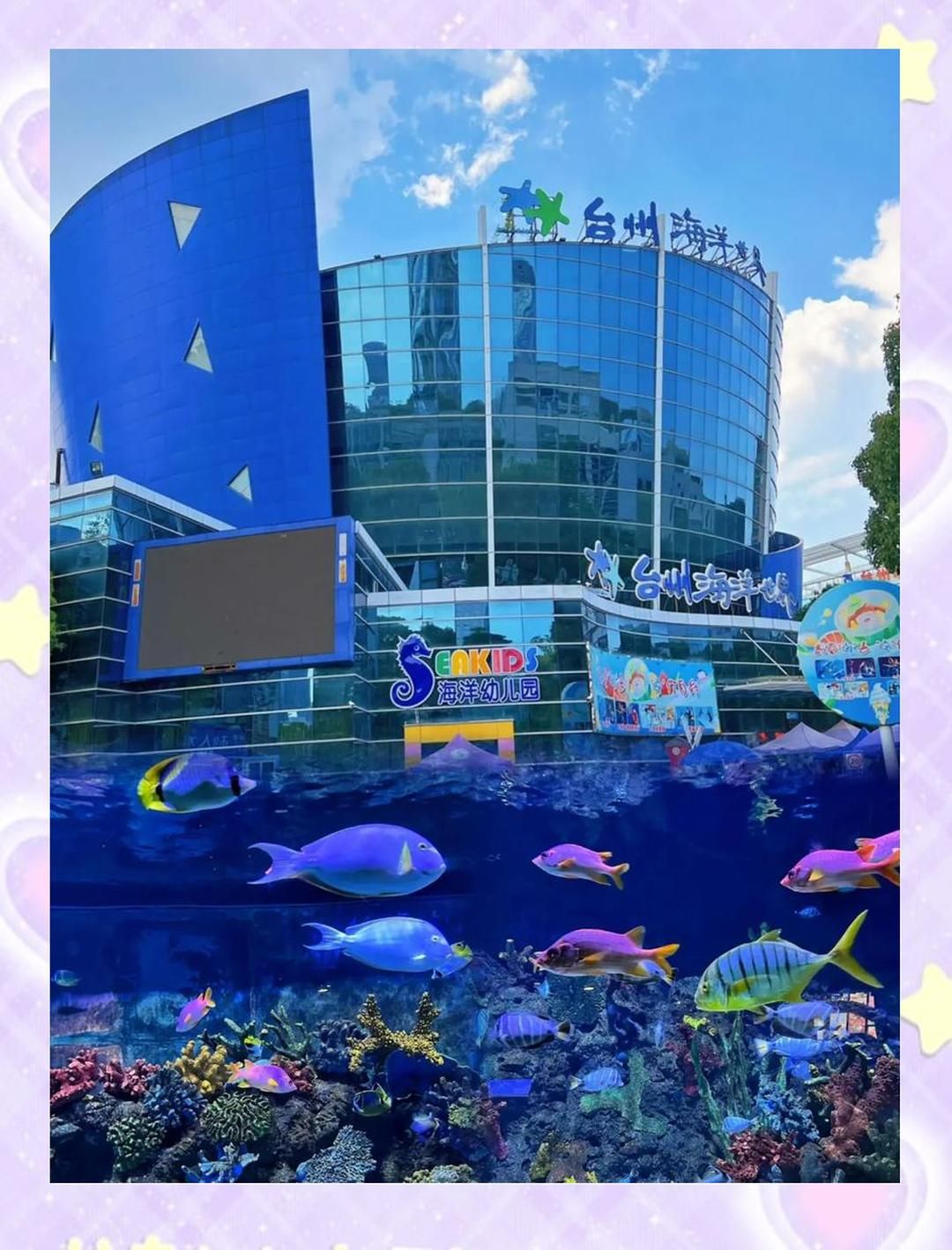 台州海洋世界现场照片 4