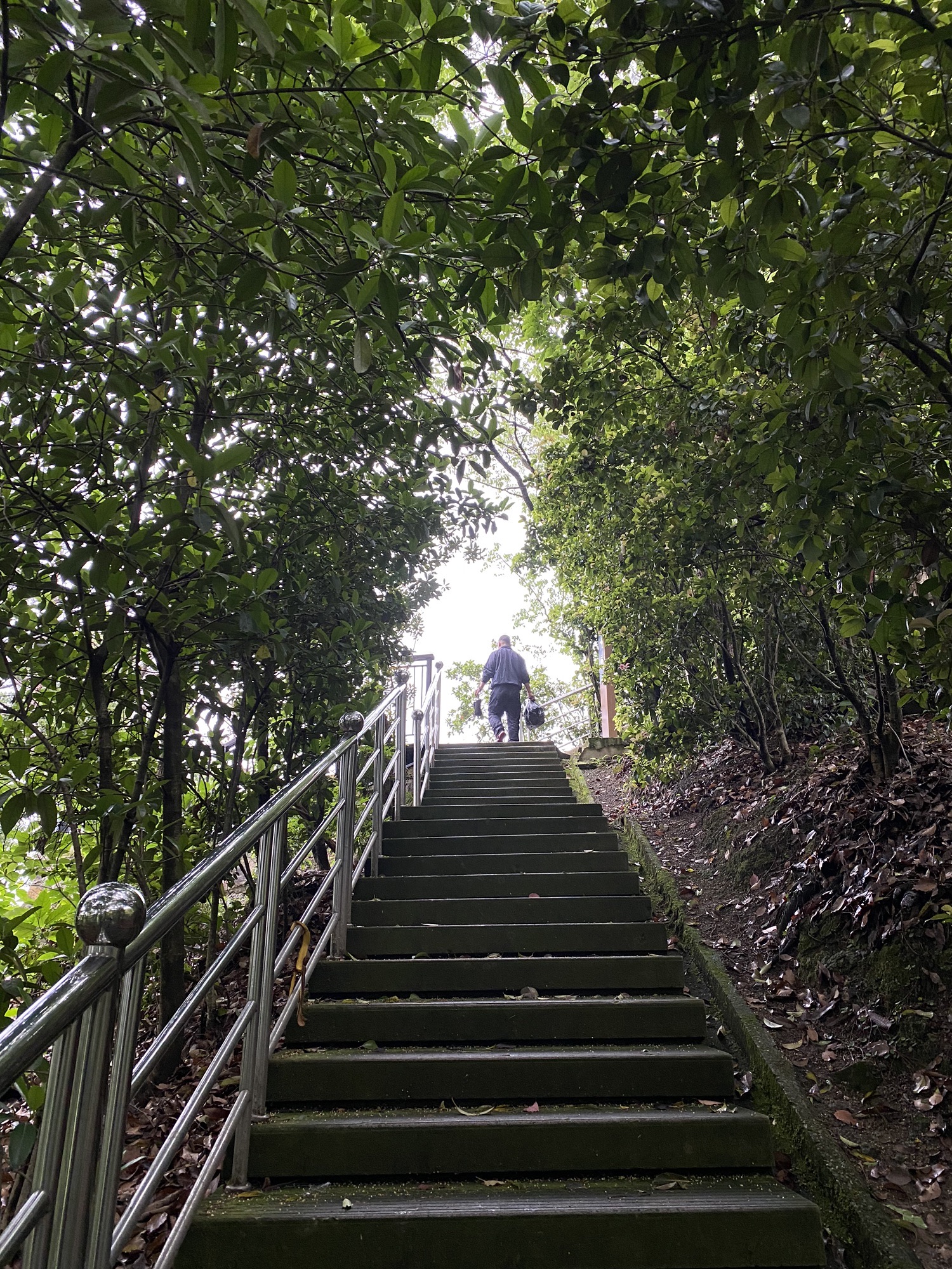 解放一江山战斗烈士墓道旅行图片 3