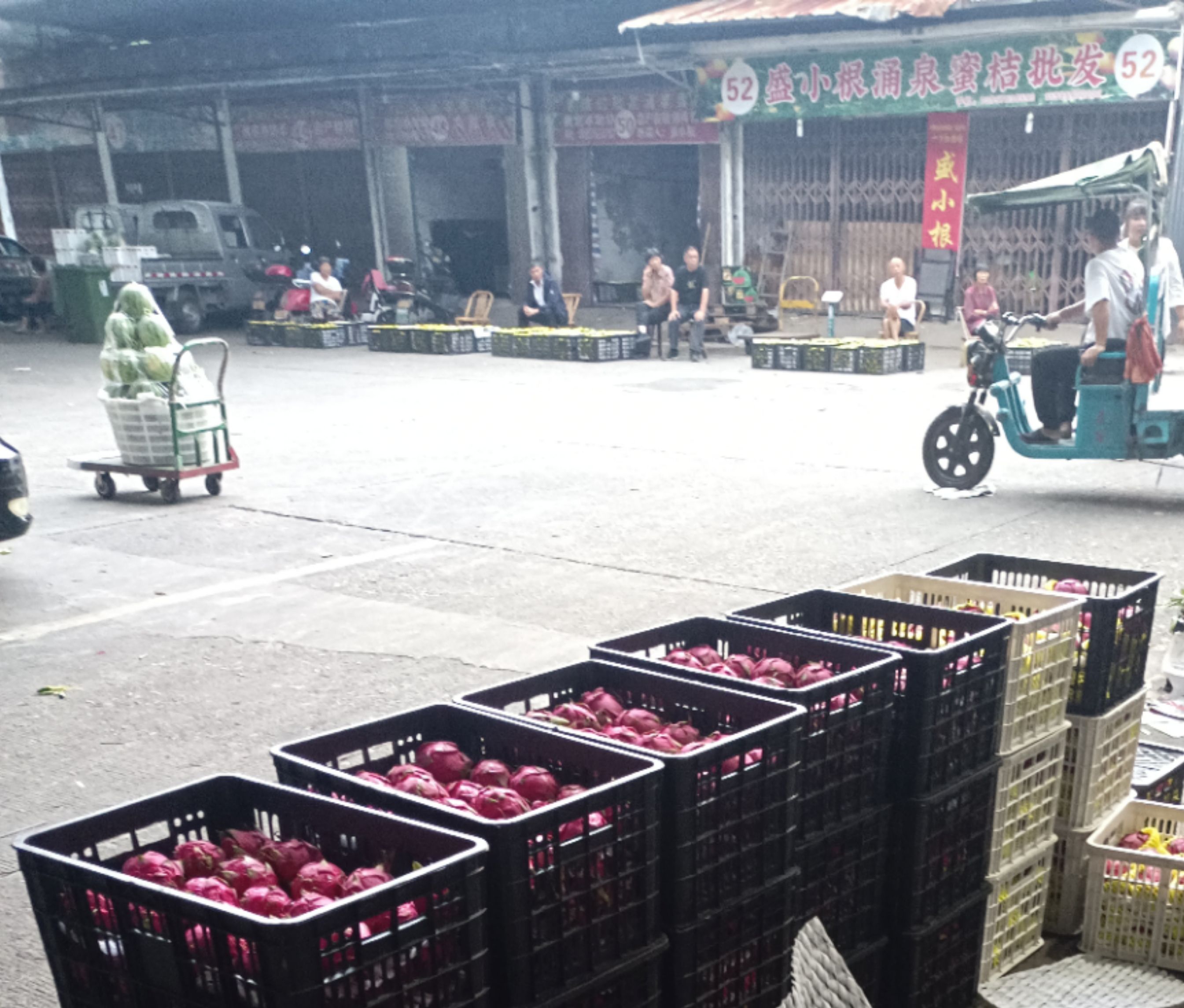 路桥水果批发