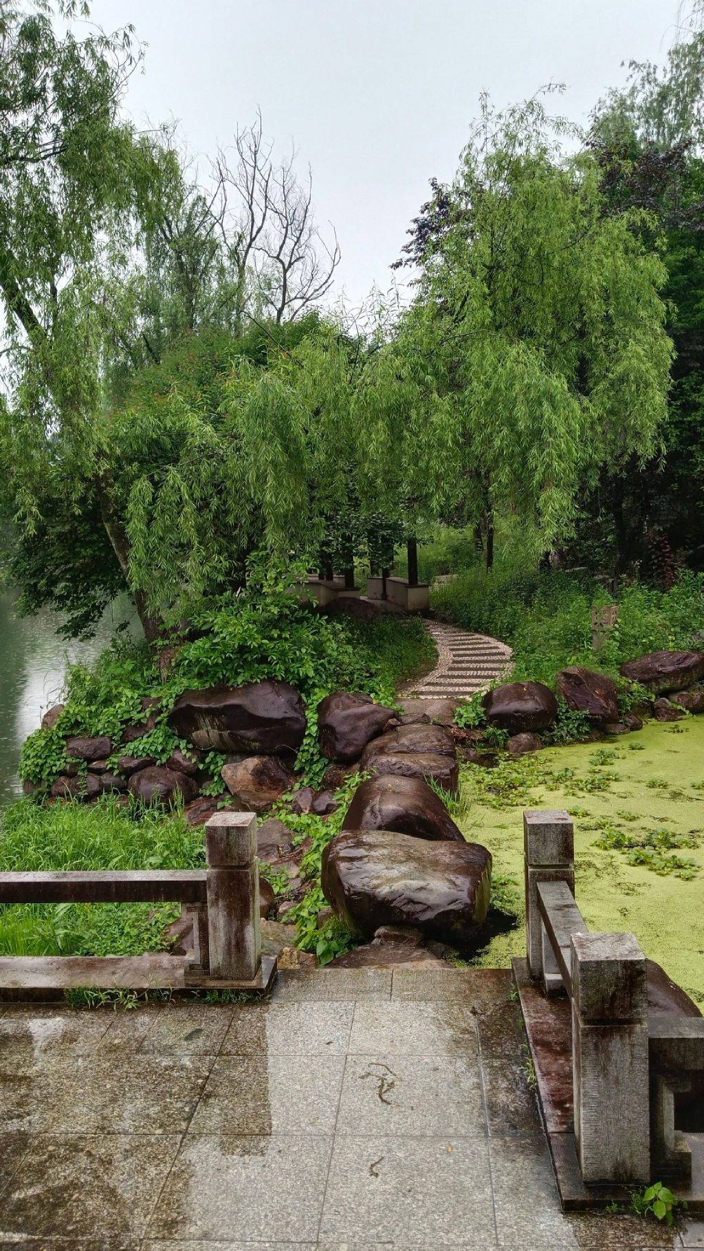 桐江书院景区旅行图片 2