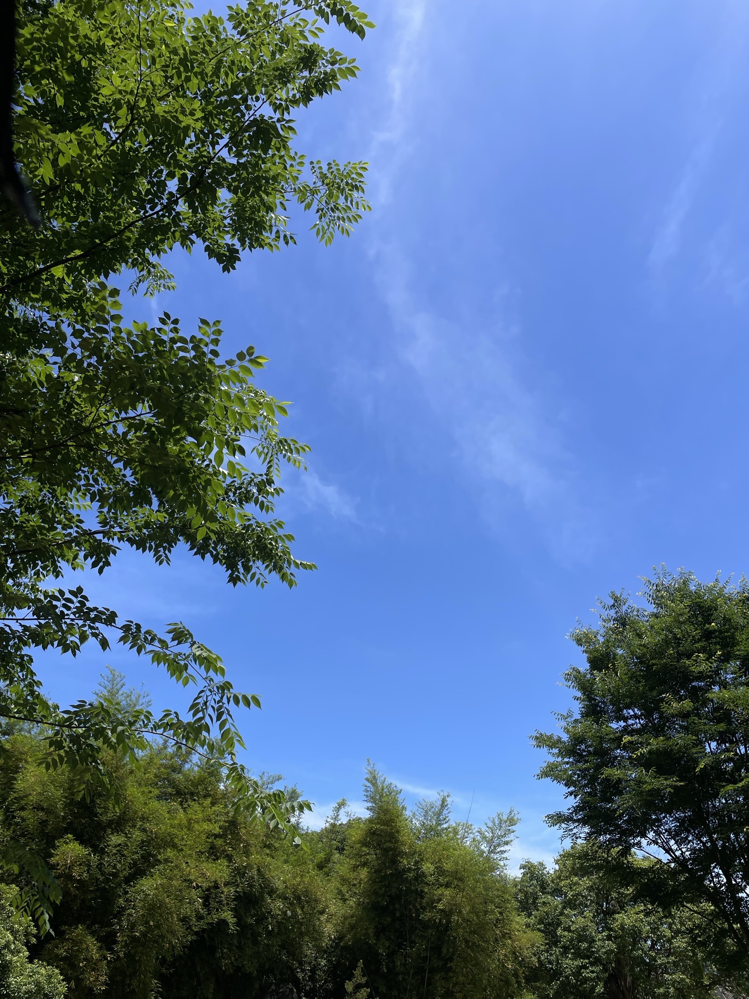 桐江书院景区旅行图片 3