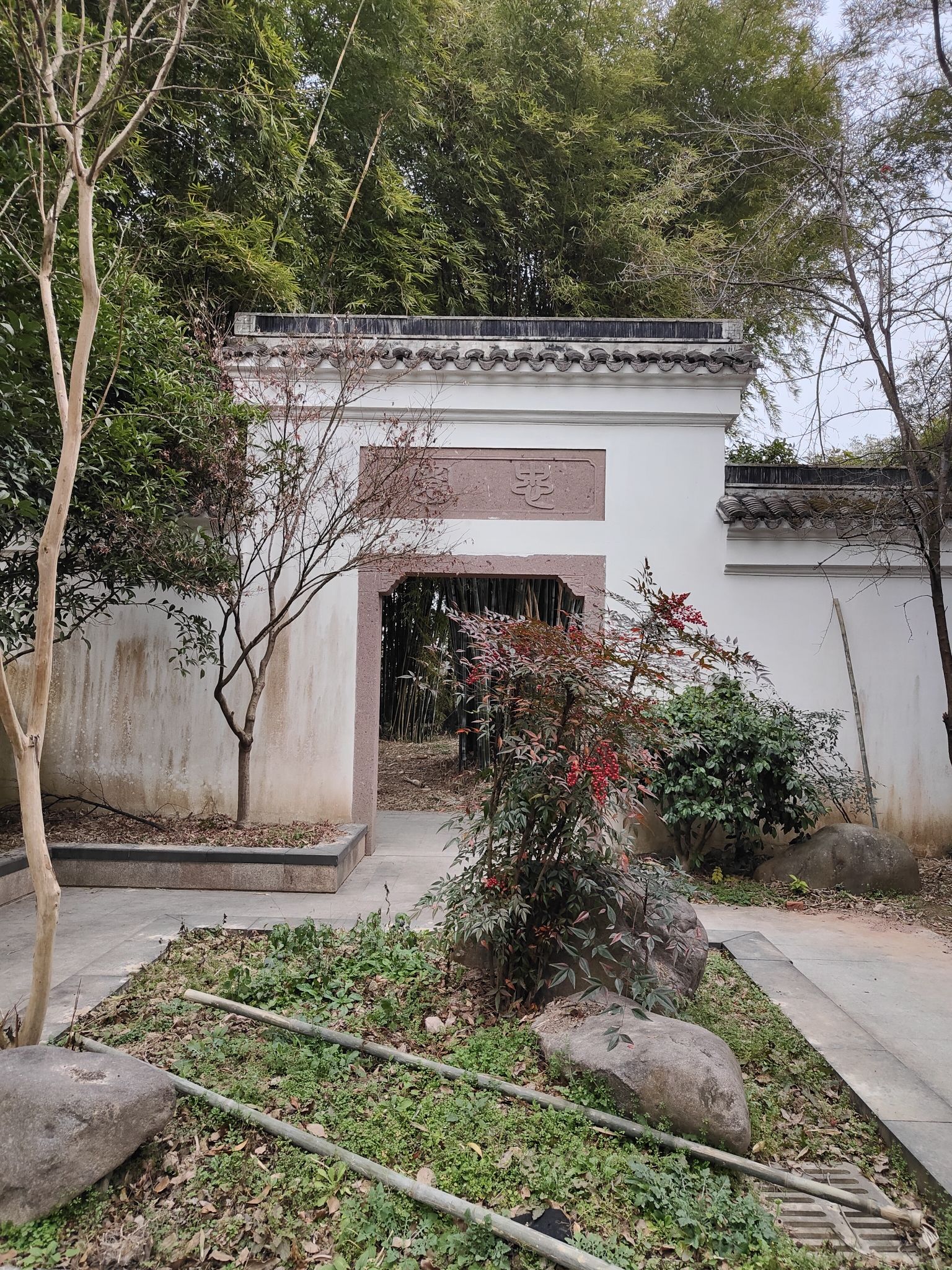 桐江书院景区旅行图片 2