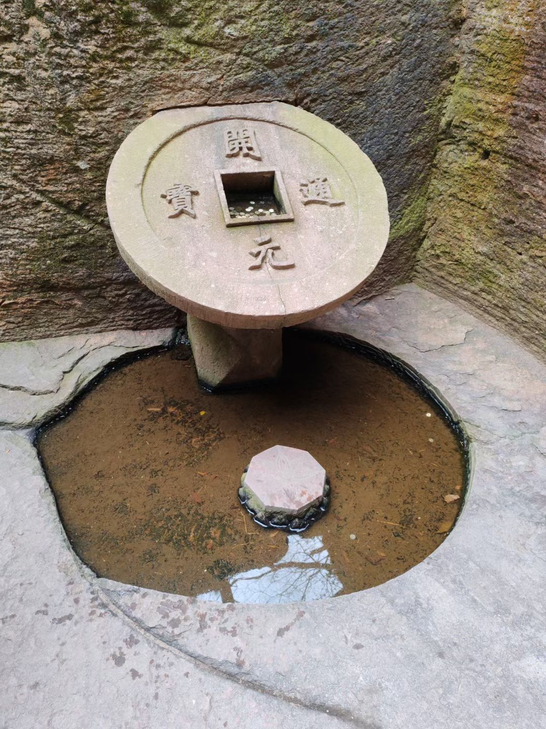 蛇蟠岛旅行图片 1