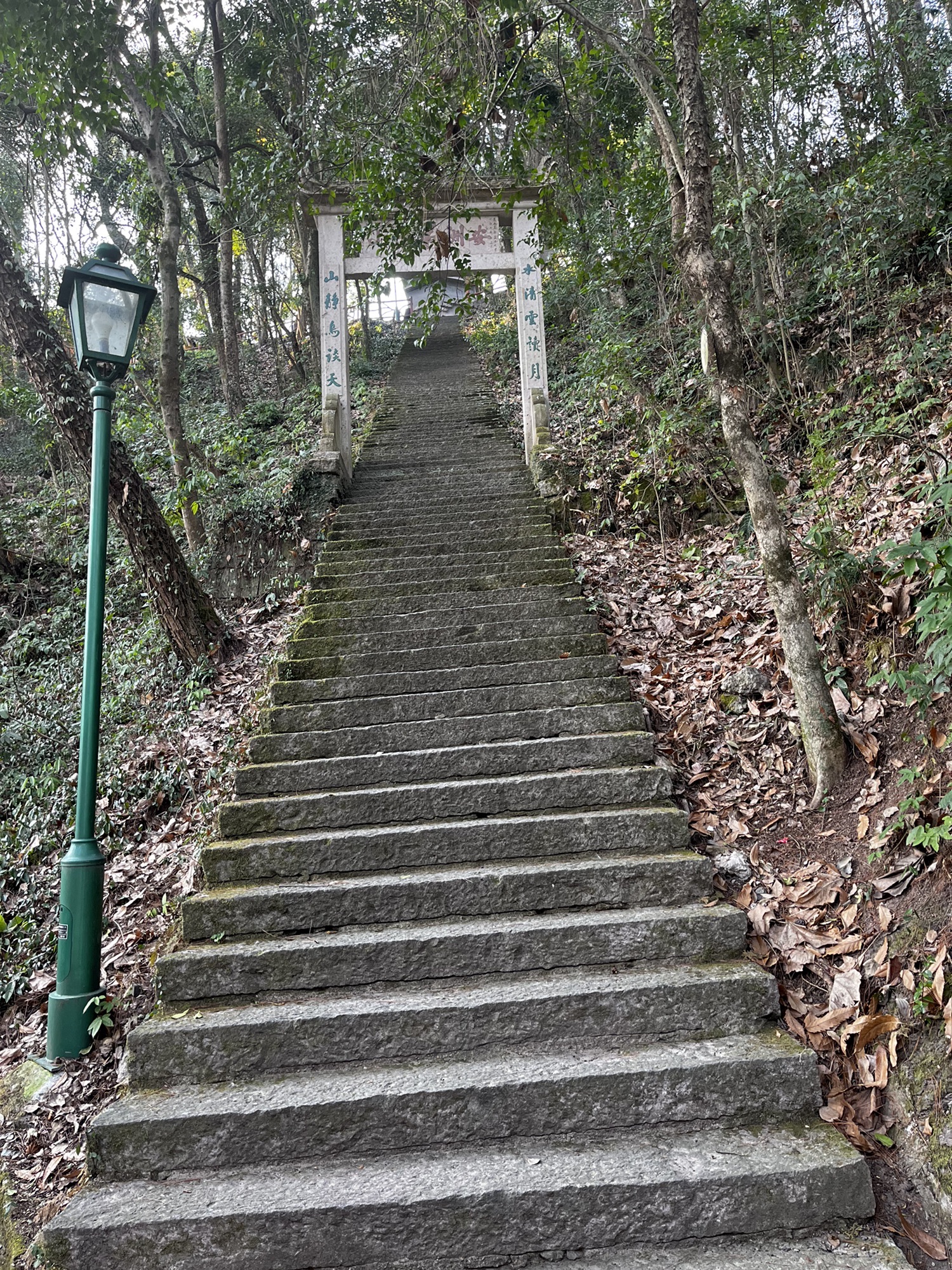 仙居南峰山景区旅行图片 1
