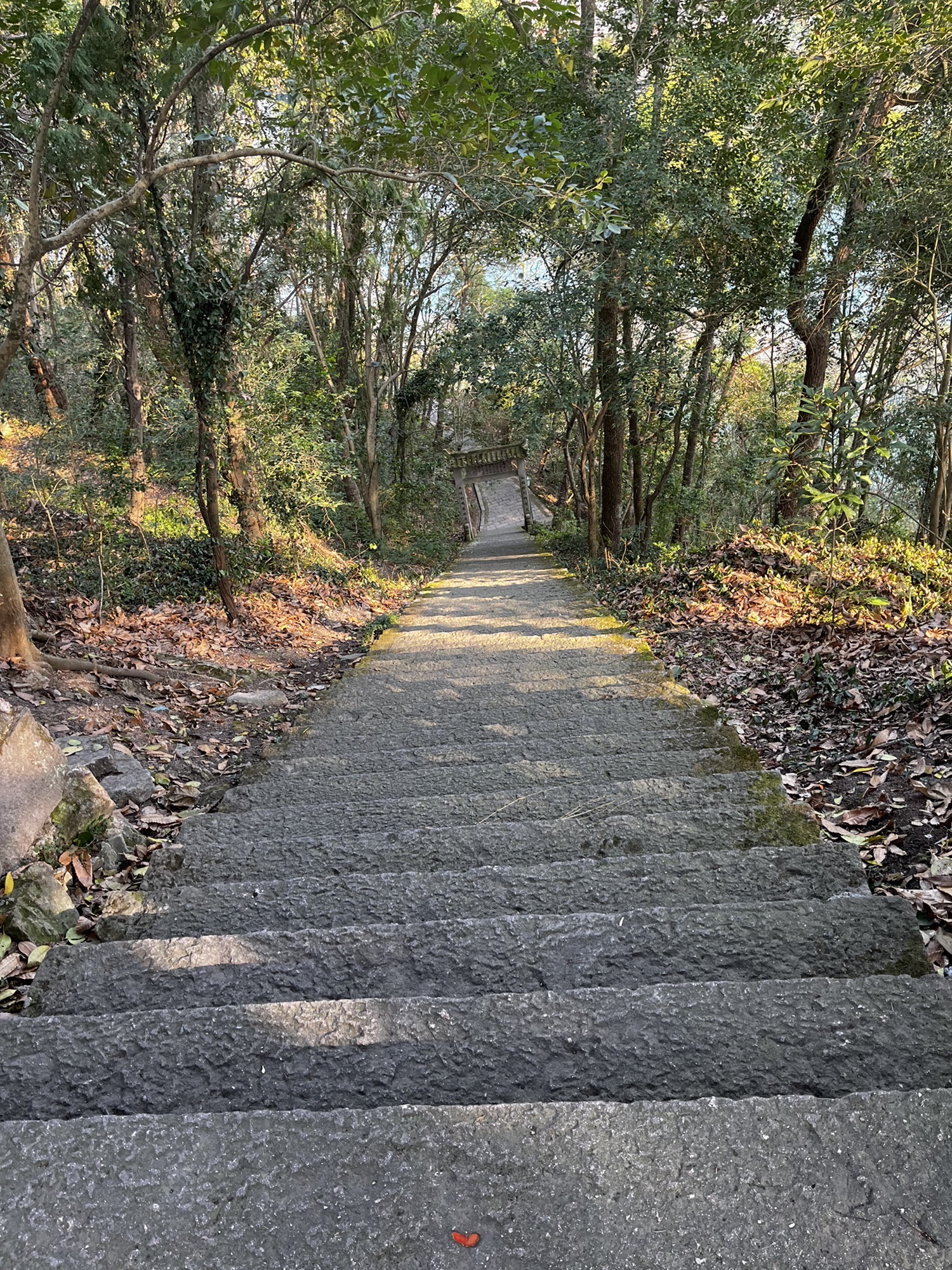 仙居南峰山景区旅行图片 3