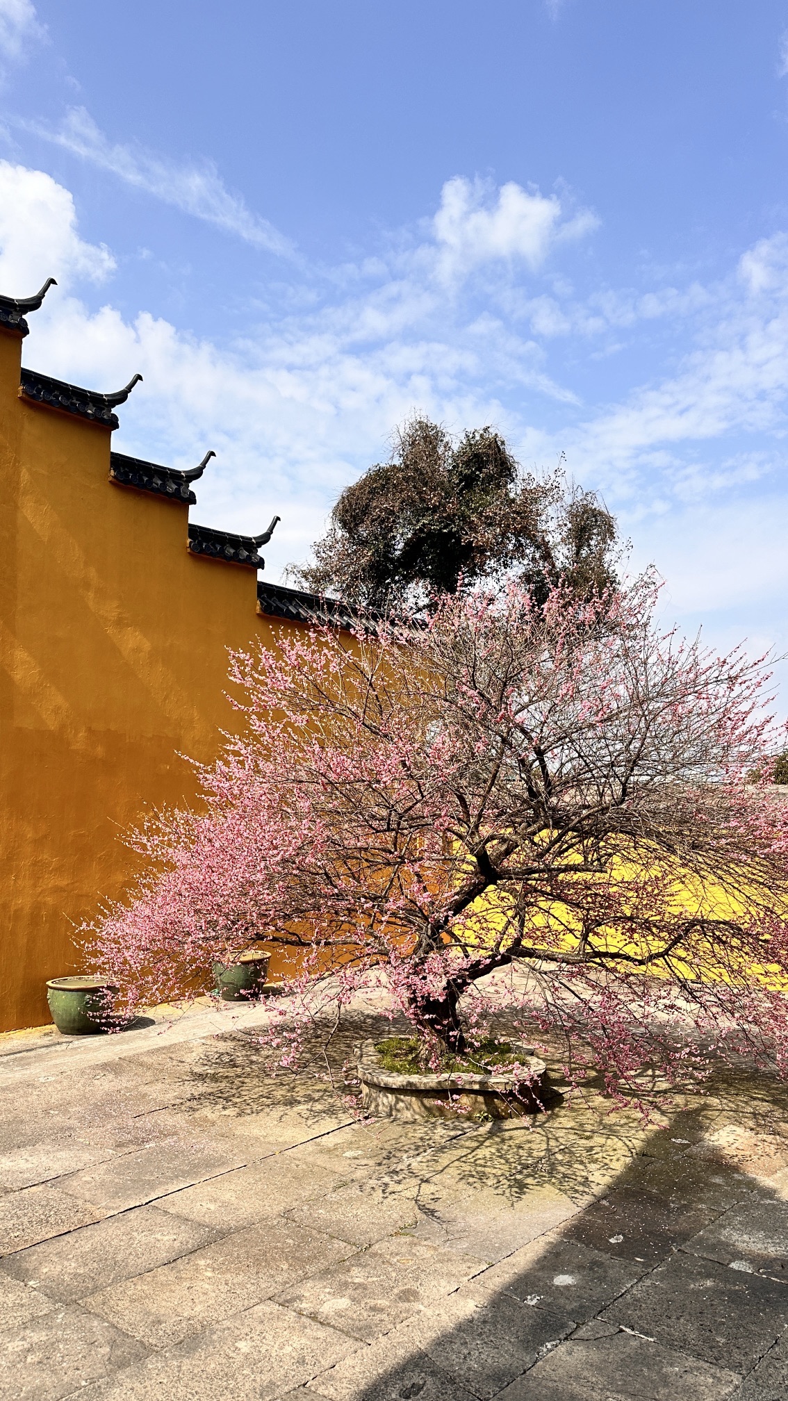九峰寺实景照片